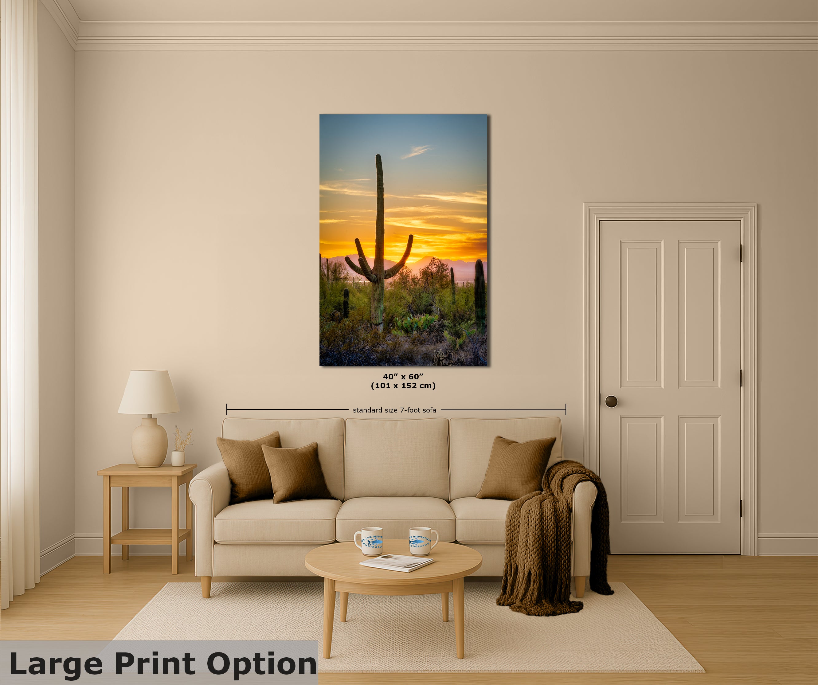 Saguaro National Park Arizona Desert Picture Nature Photo, Bohemian Style Relaxation Artwork, Southwestern Sonoran Desert House Decor