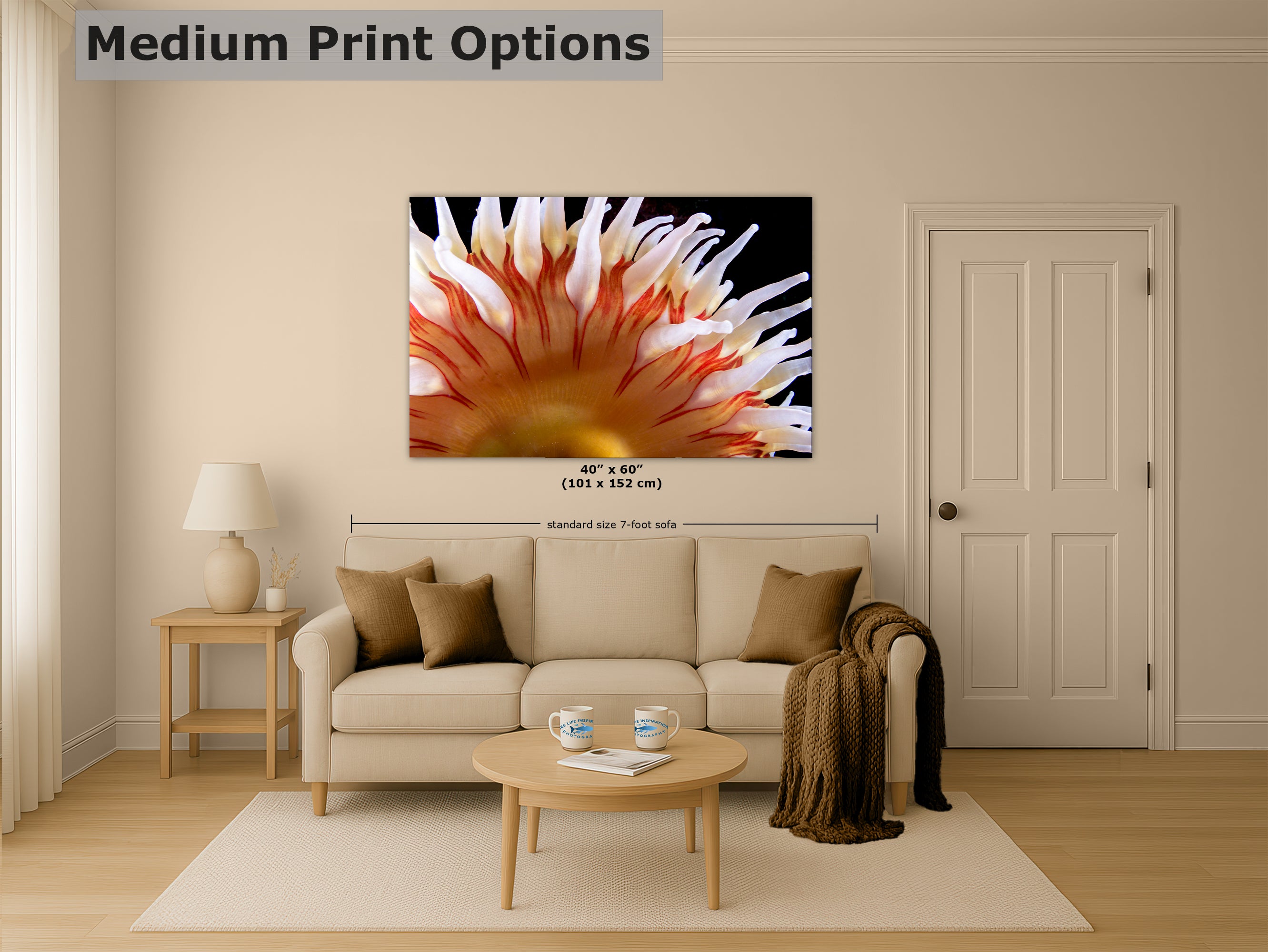 Sea Anemone Picture Ocean Life Underwater Scenery Nature Photo, Marine Biology Coral Reef Art