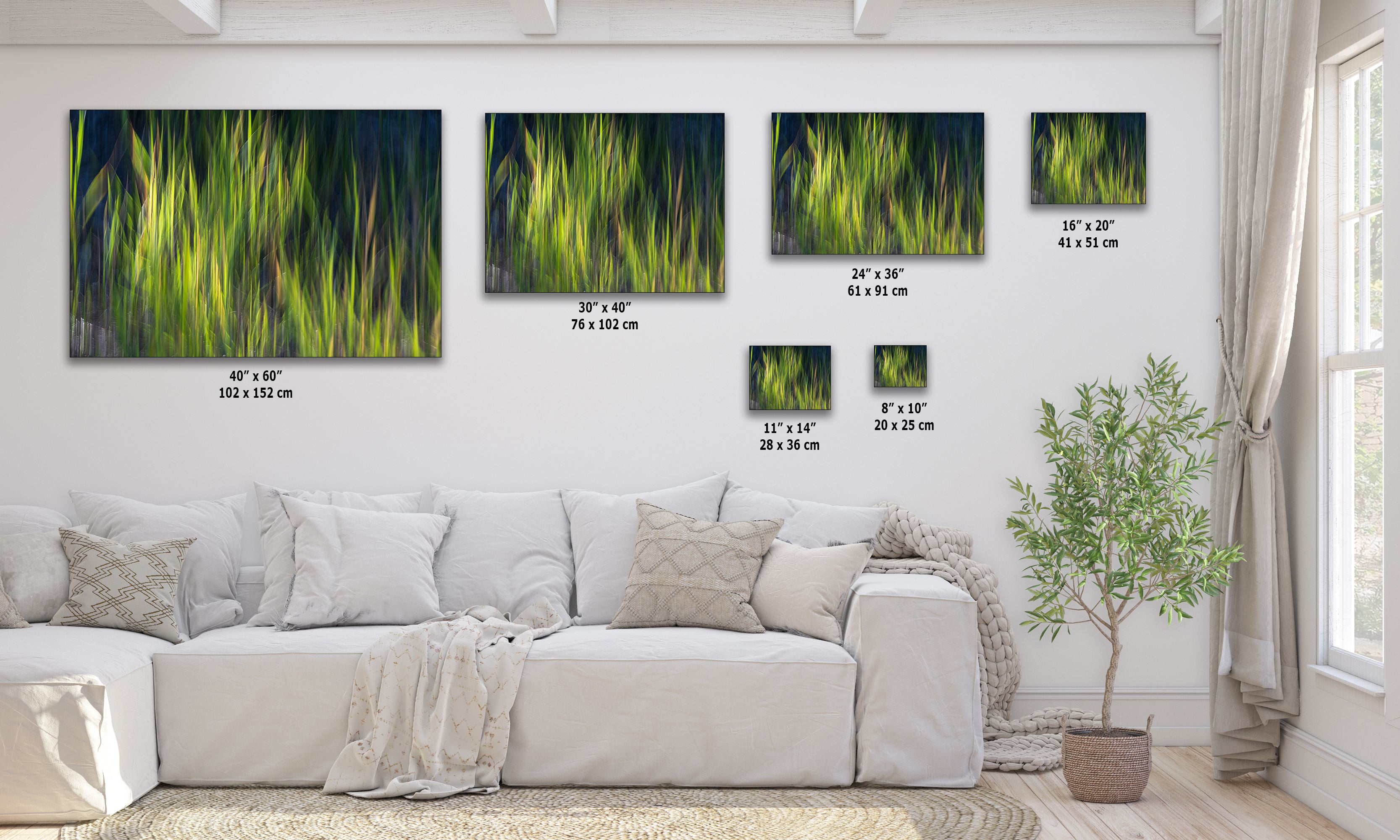 Sage Green Abstract Art Nature Photo