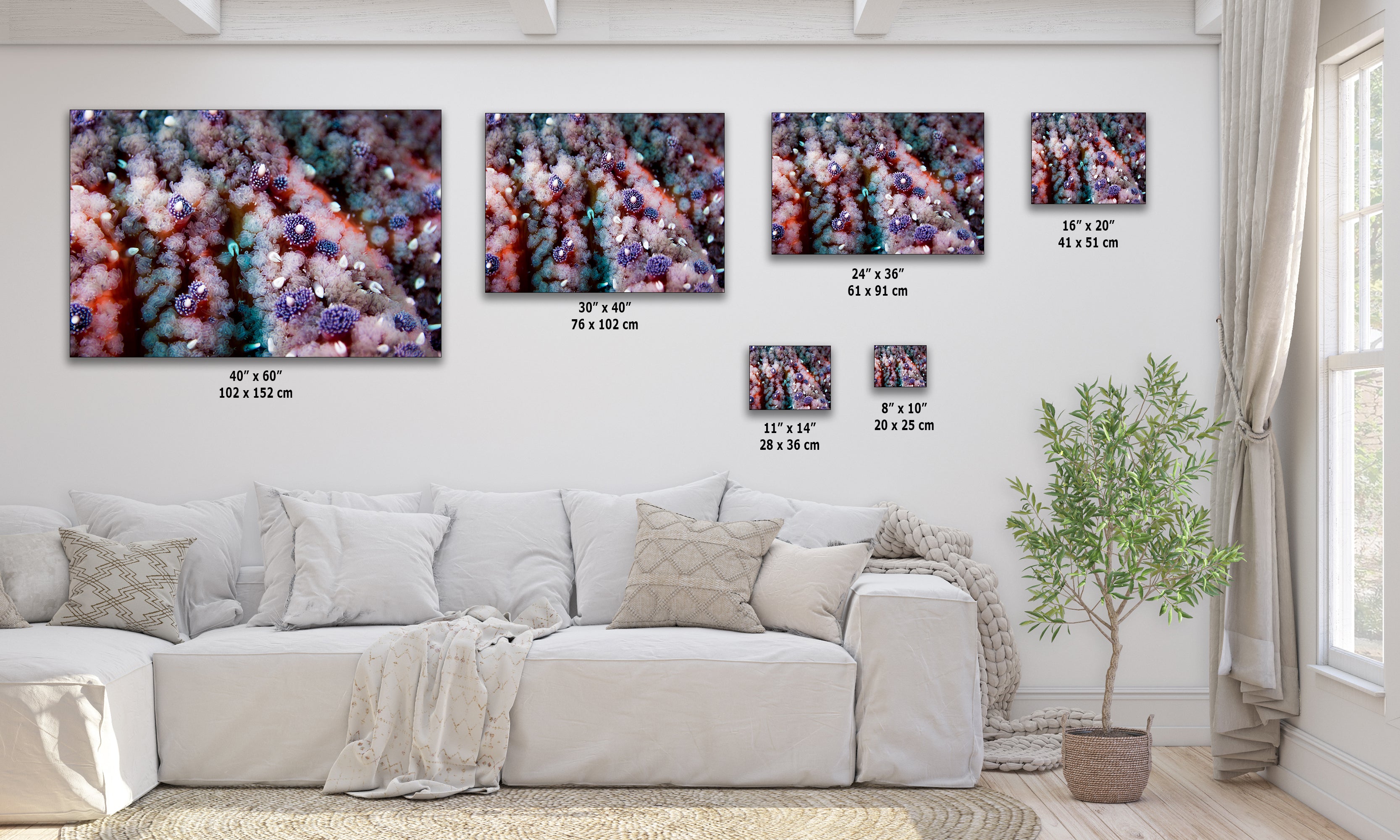 Ocean Life Starfish Photo, Marine Biology Underwater Scenery, Vibrant Coral Reef, Nature Photography for Office Decor, Relaxation Artwork