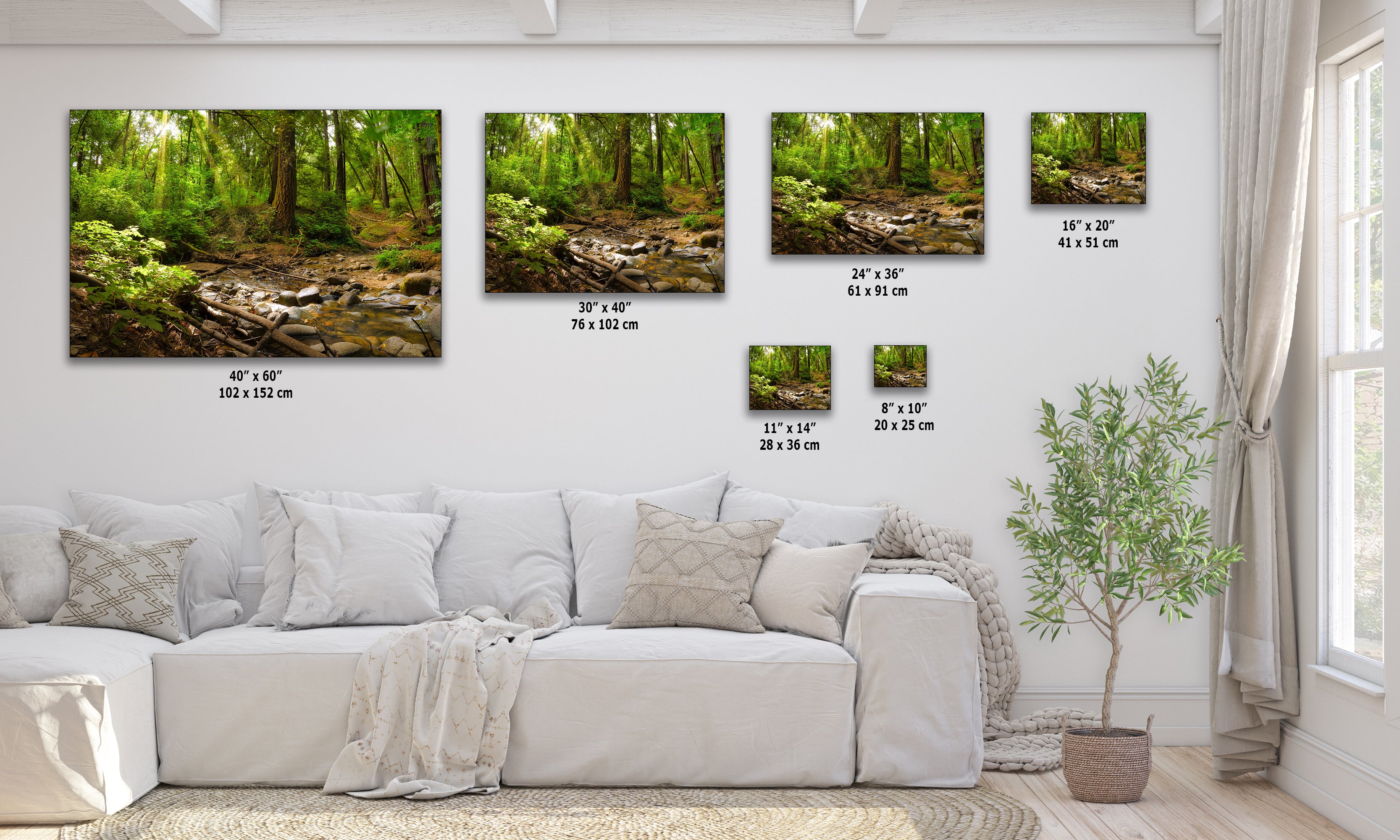 Redwood Trees Forest Picture Nature Photo, Forest Bathing in Santa Cruz California Coast Wall Art, Relaxing Artwork for House Decor & Office