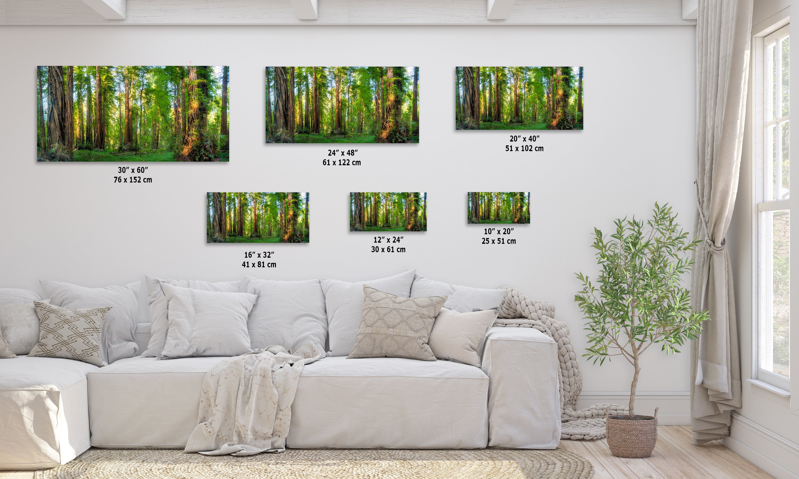 Redwood Trees Forest Picture Nature Photo, Forest Bathing Relaxation Artwork for Calming Meditation, Office and House Decor