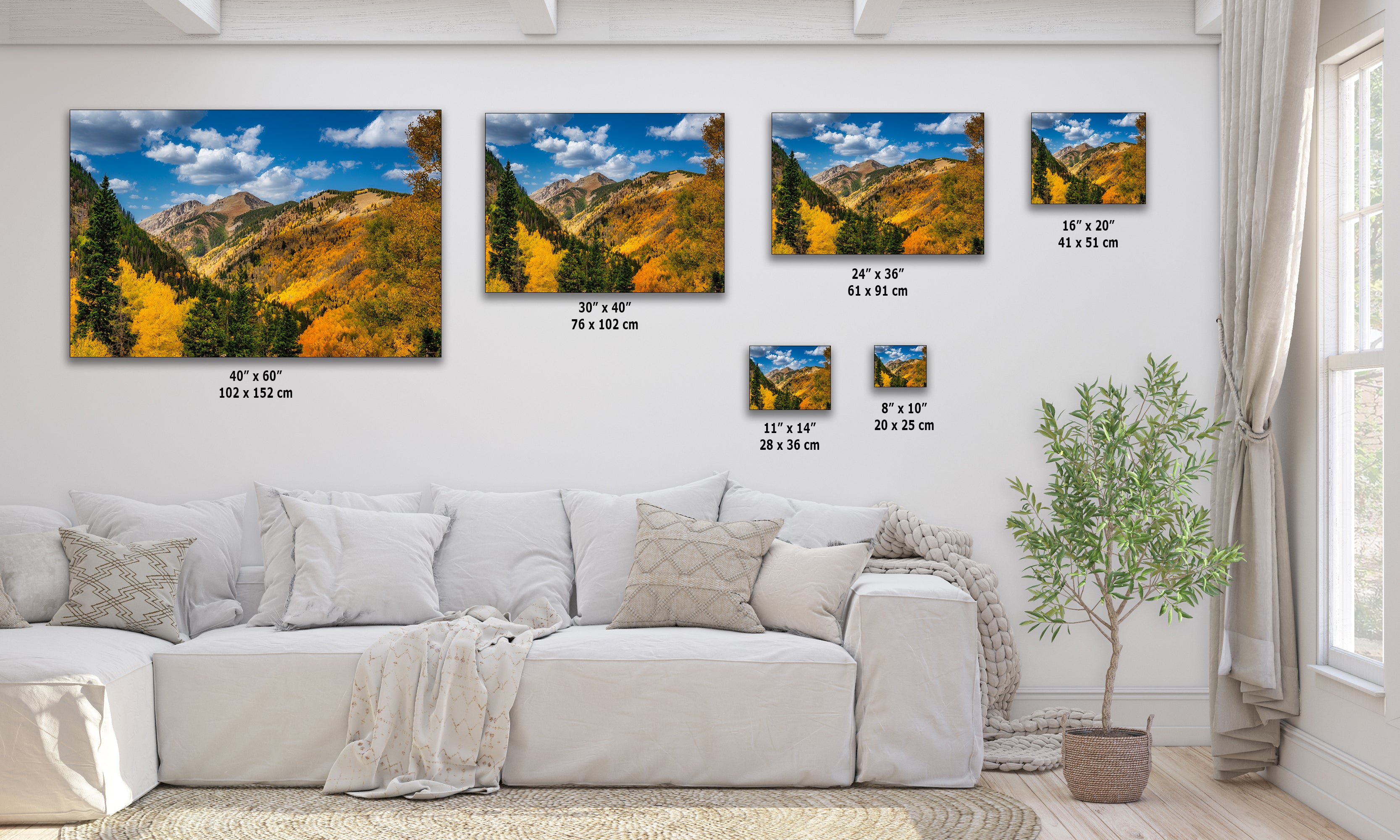 Colorado San Juan Mountains Picture, Fall Colors Nature Photo of Aspen Trees for Relaxation Meditation and Home Decor