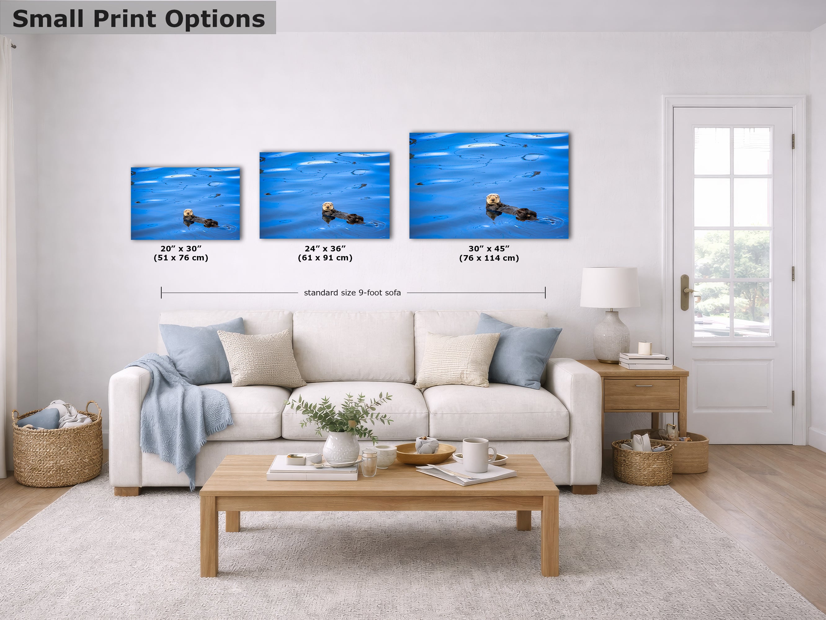 Ocean Picture Limited Edition Fine Art Print – Sea Otter Wildlife Photography Nature Photo
