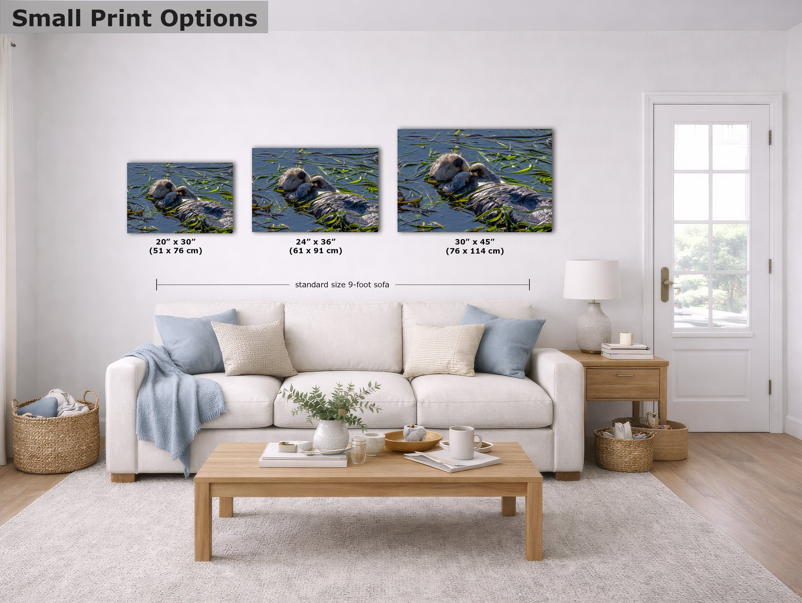 Marine Mammal Wildlife Photography Limited Edition Fine Art Print of California Sea Otter
