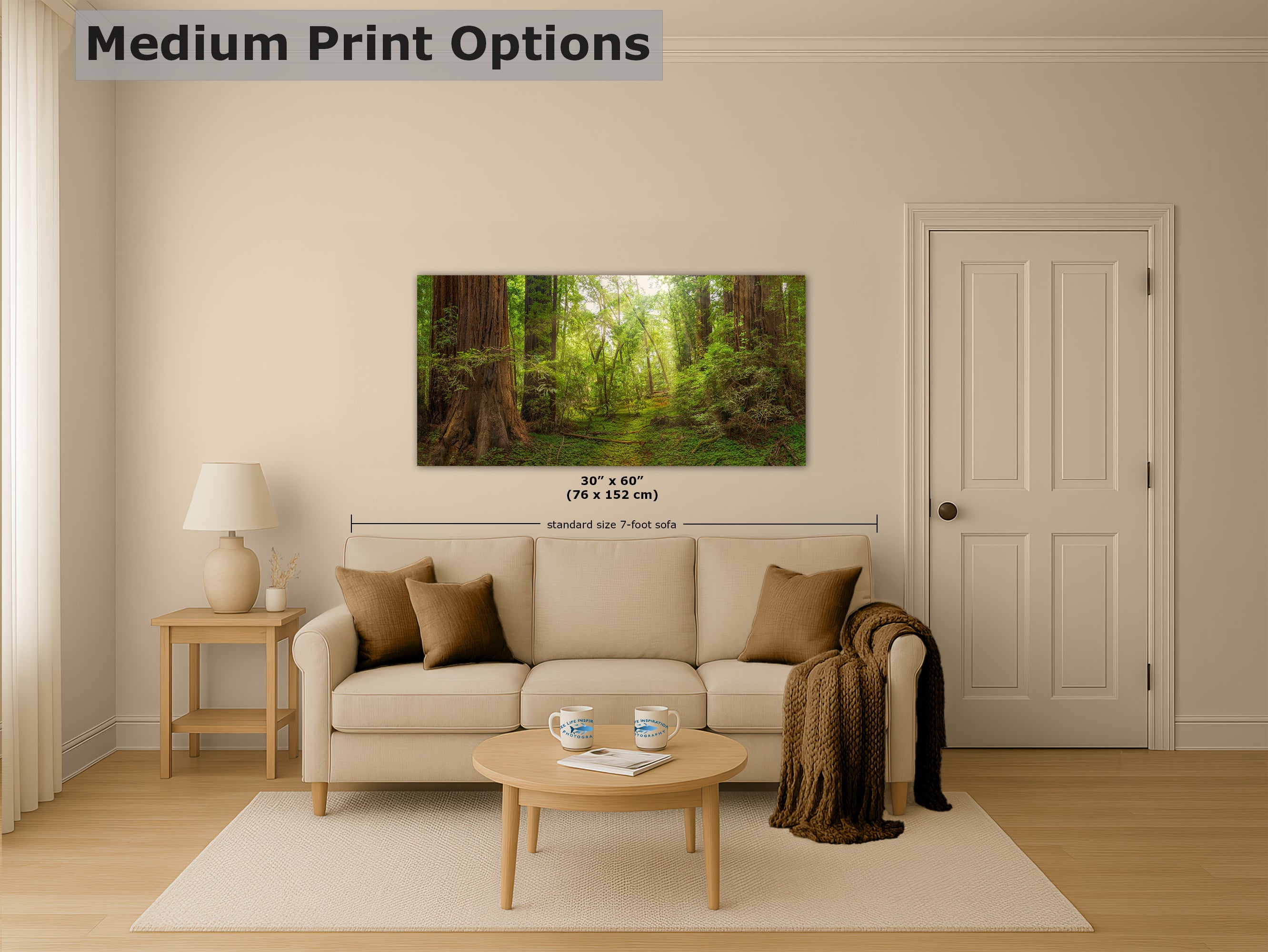 Redwood Tree Wall Art - Panoramic Forest Picture Nature Photo