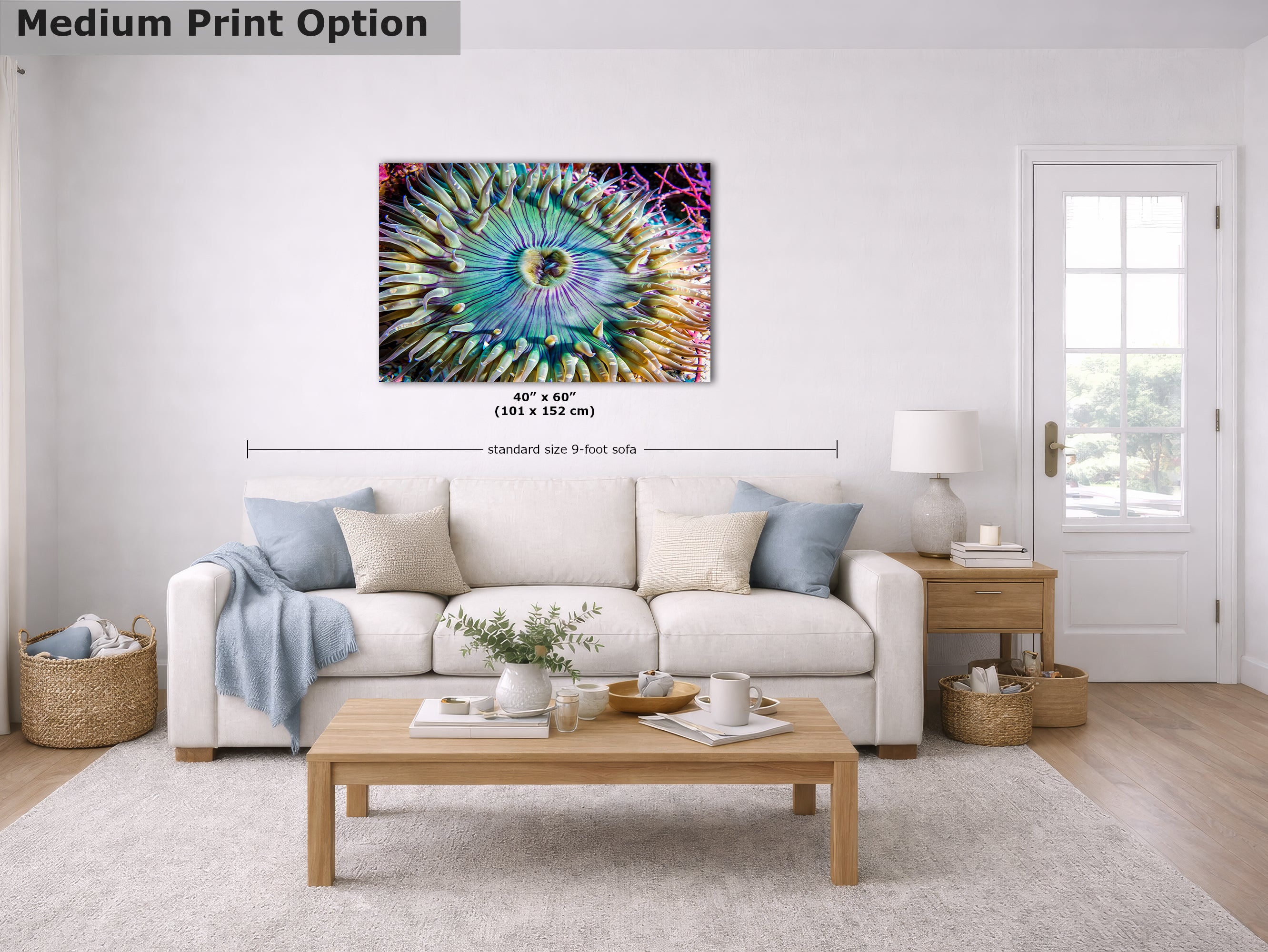 Ocean Life Limited Edition Fine Art Print Underwater Sea Anemone Photo