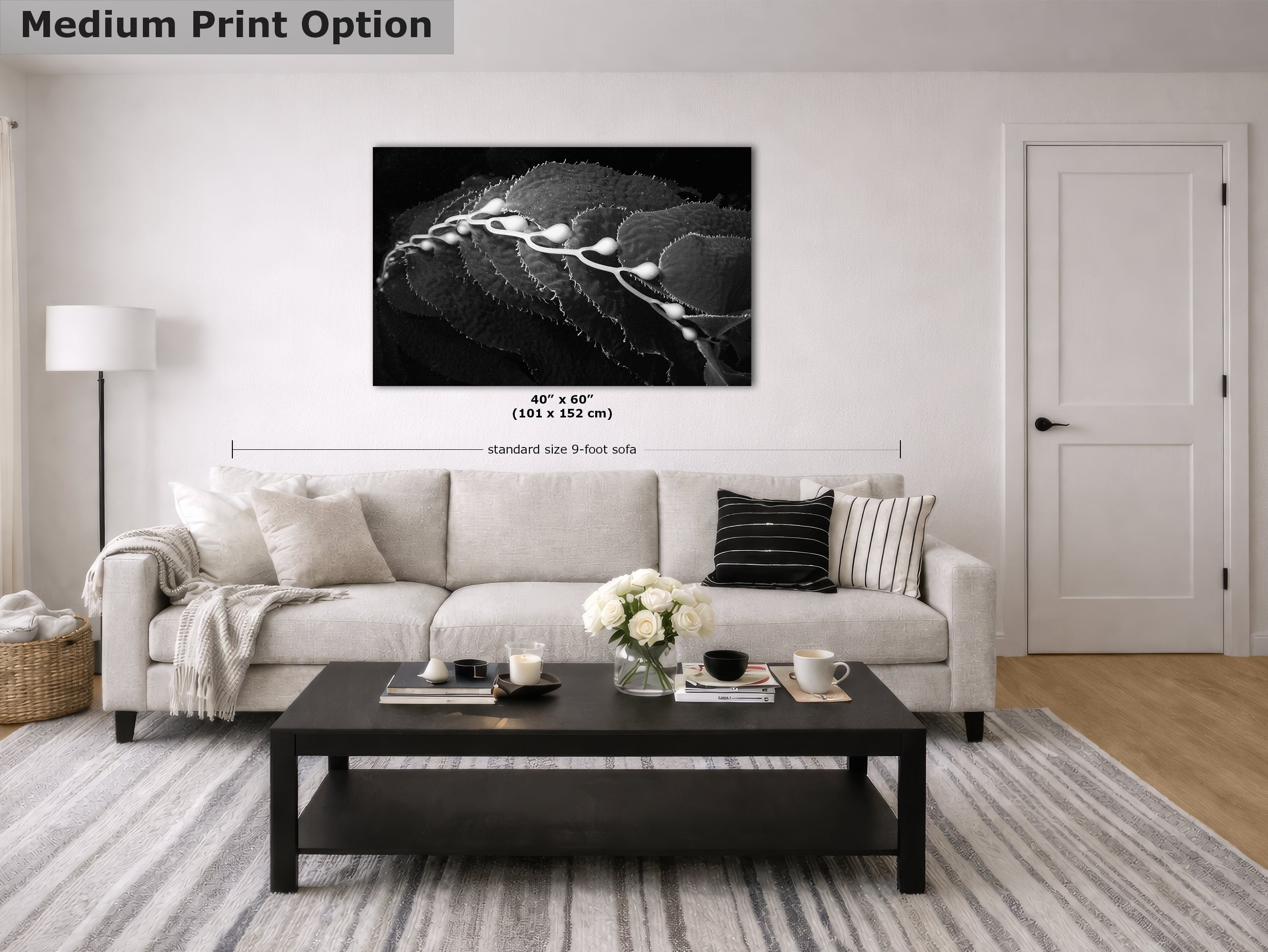 Limited Edition Fine Art Photography, California Giant Kelp Ocean Life, Eternity