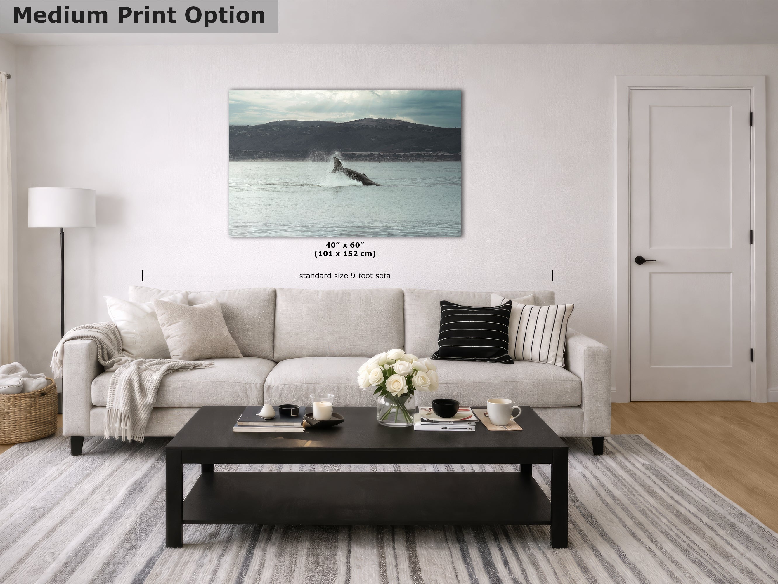 Humpback Whale Marine Mammal Wildlife Photography, Ocean Nature Art, Marine Conservation, Dolphin & Sea Life Gift, House Decor