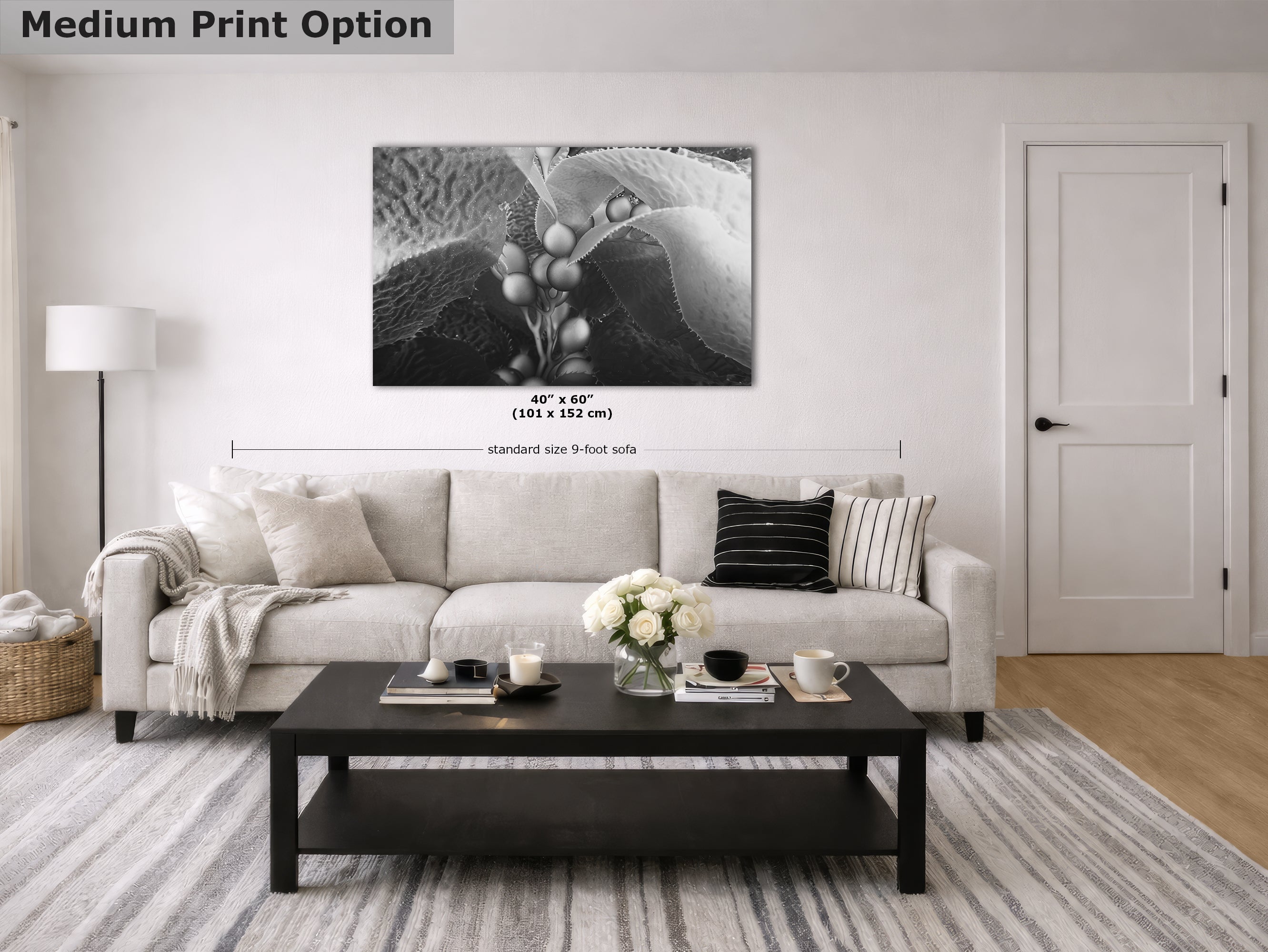 Limited Edition Fine Art Photography, California Giant Kelp Underwater Art, Intention