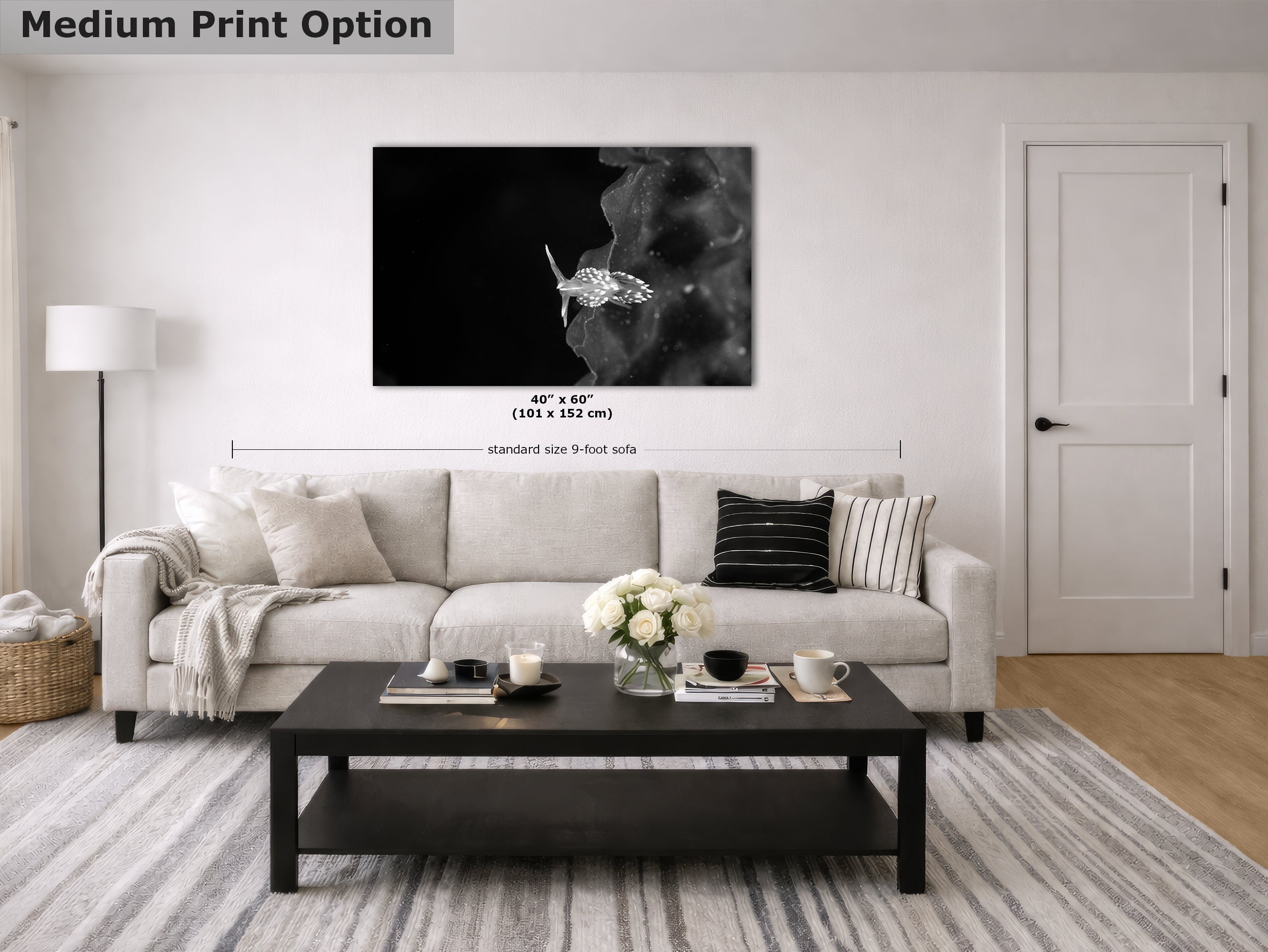 Limited Edition Fine Art Photography, Underwater Sea Life Ocean Art, The Universe