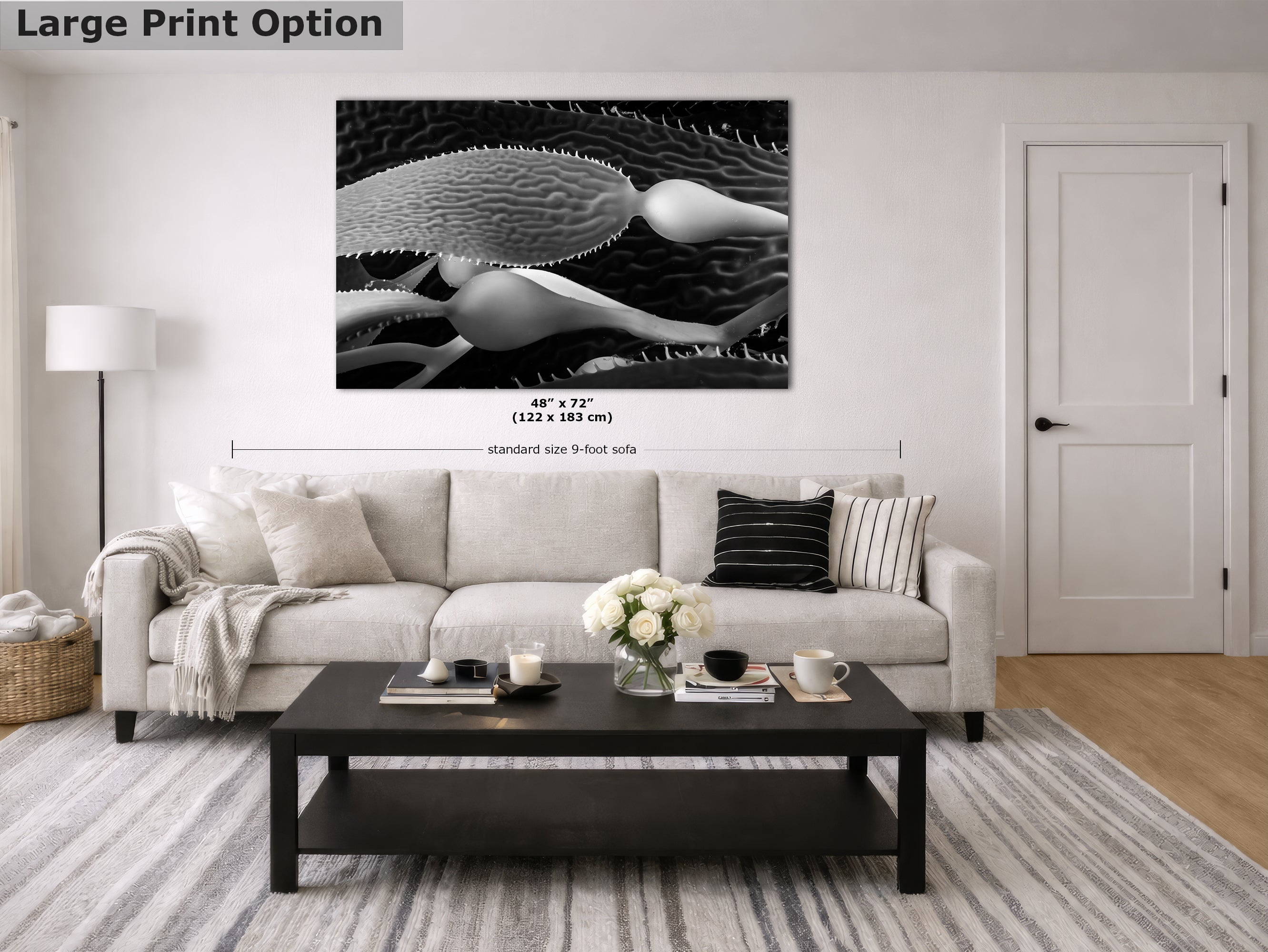 Limited Edition Fine Art Photography, California Giant Kelp Nature Photo, Clarity
