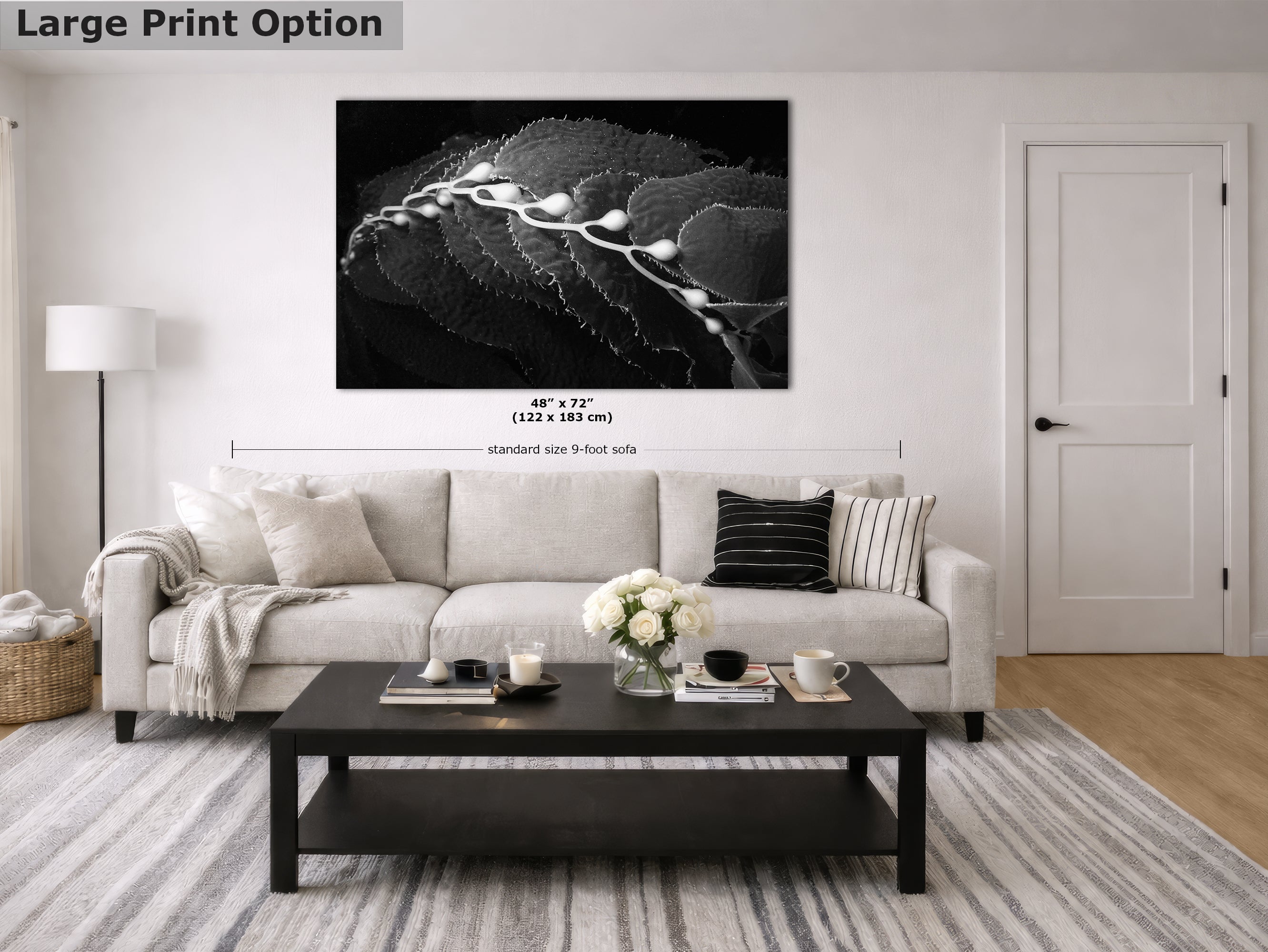 Limited Edition Fine Art Photography, California Giant Kelp Ocean Life, Eternity