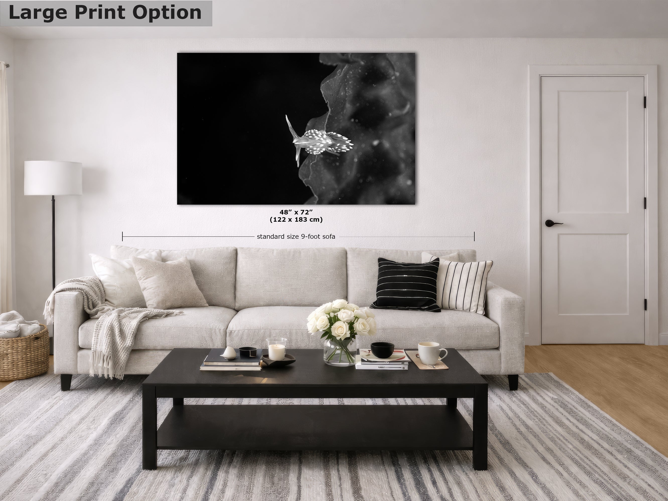 Limited Edition Fine Art Photography, Underwater Sea Life Ocean Art, The Universe