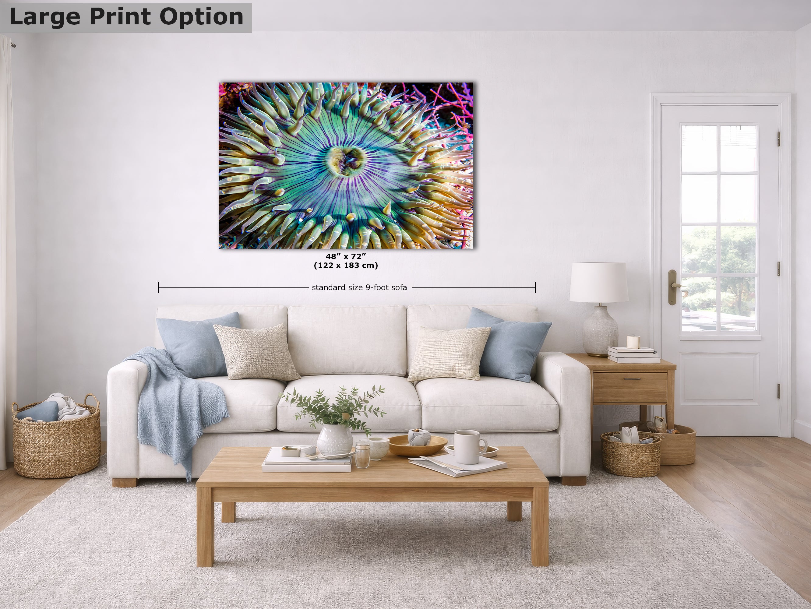 Ocean Life Limited Edition Fine Art Print Underwater Sea Anemone Photo