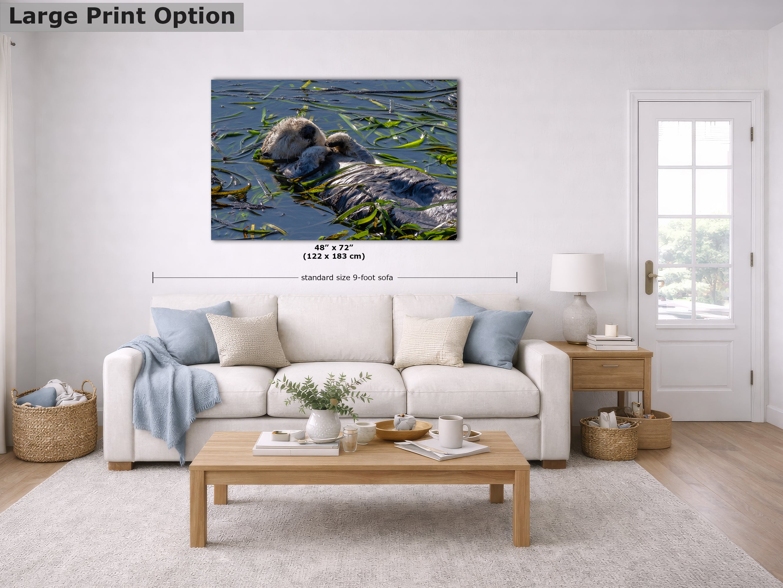 Marine Mammal Wildlife Photography Limited Edition Fine Art Print of California Sea Otter