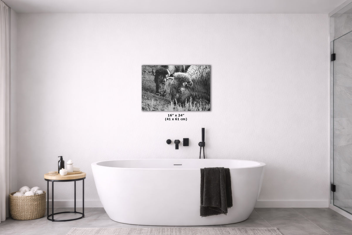 A black and white canvas wall art print depicting bison in a field, styled in a modern bathroom setting above a freestanding bathtub.