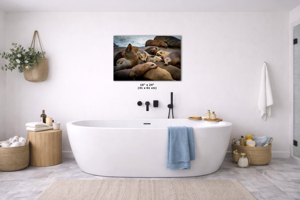 A wall art print showing a group of sea lions resting on rocks by the ocean, displayed above a white freestanding bathtub in a bright, modern bathroom. The print includes size text reading 16 x 24" (41 x 61 cm).
