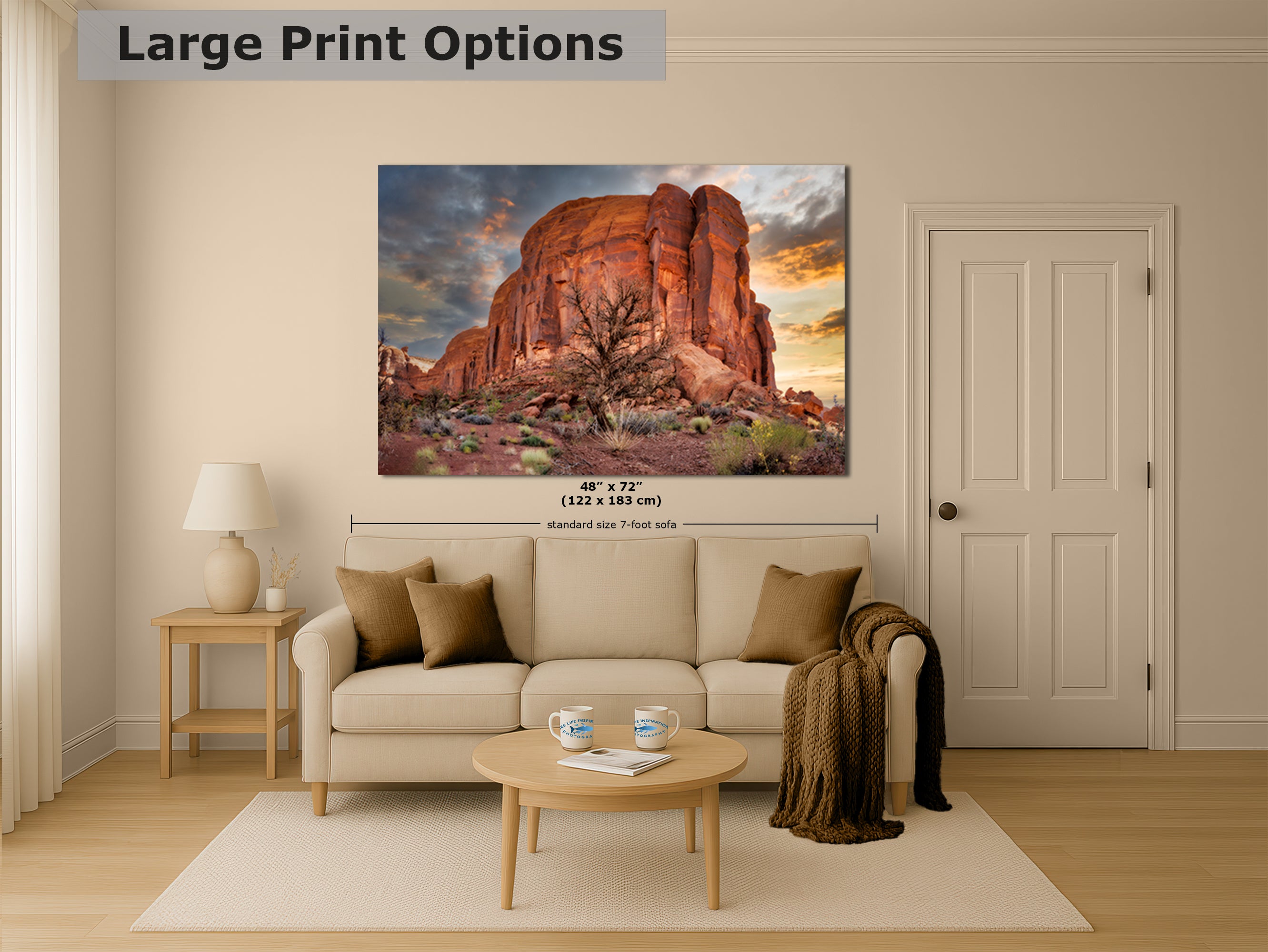 Monument Valley Arizona Desert Picture Cactus Nature Photo, Bohemian Style Relaxation Artwork for Meditation, Apartment, Office & House Decor