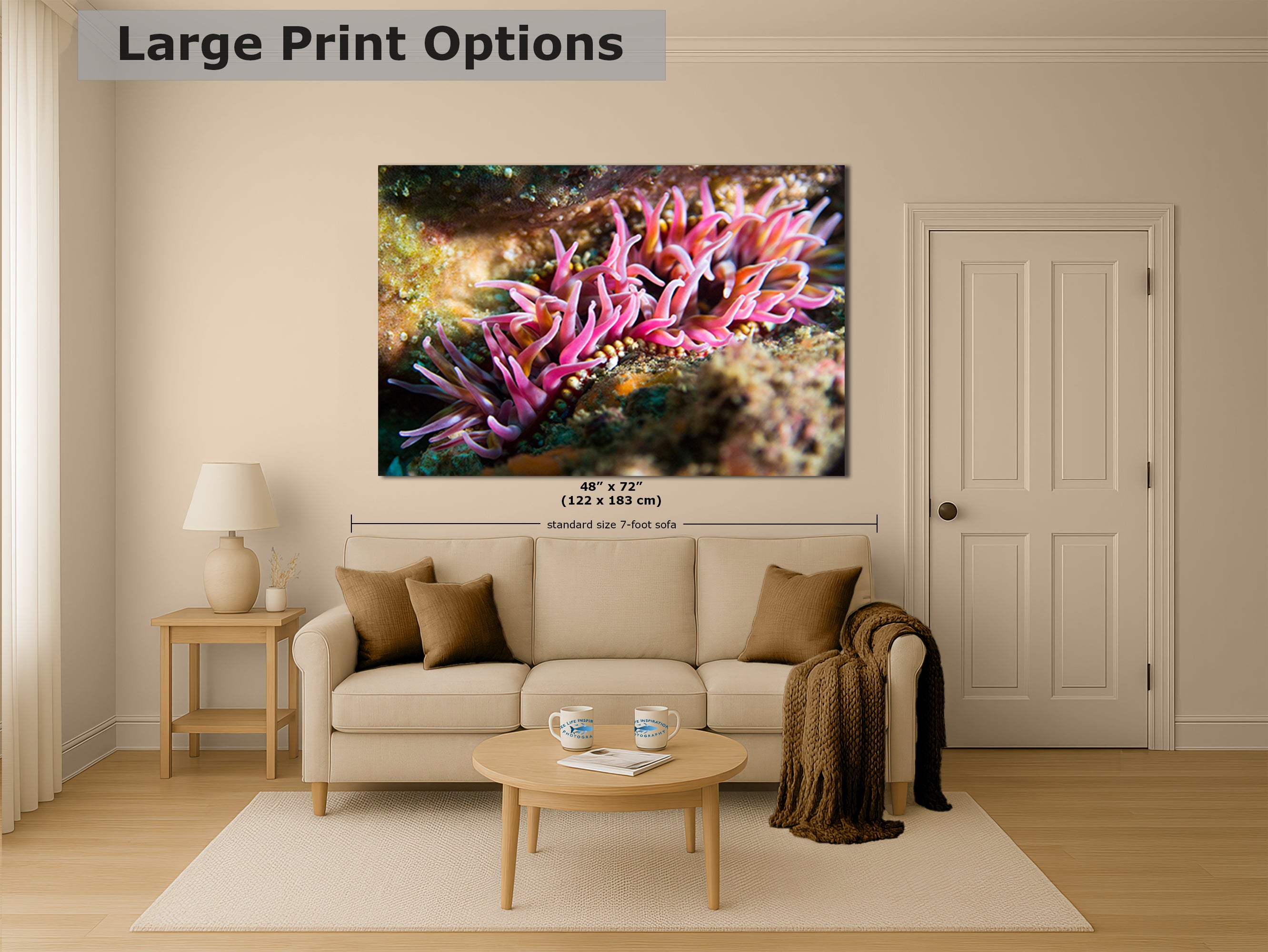 Sea Anemone Picture Ocean Life Underwater Scenery Nature Photo, Marine Biology Coral Reef Art, Vibrant Marine Wildlife Wall Decor
