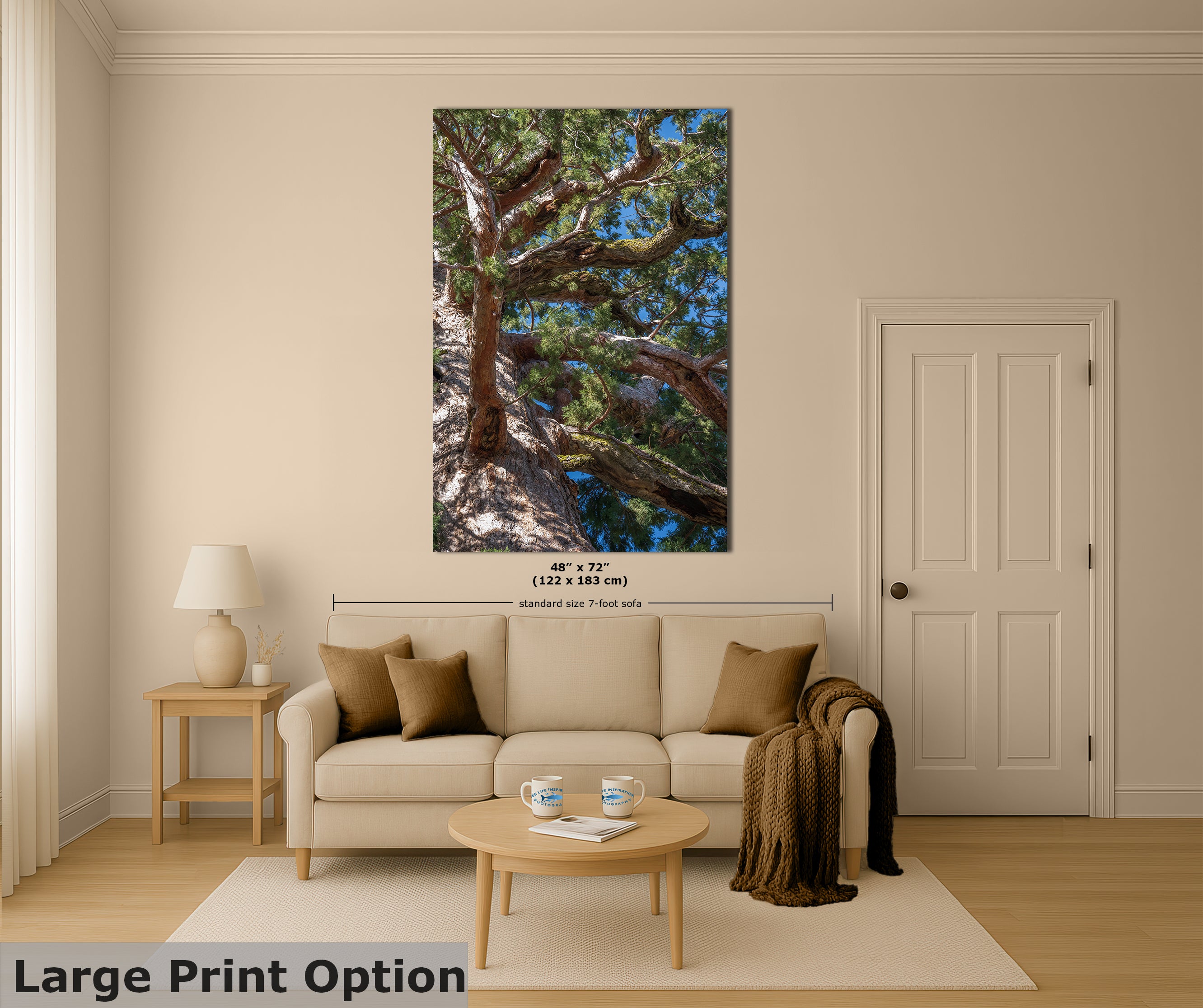 Giant Sequoia Tree Forest Picture Nature Photo, Yosemite Mariposa Grove Redwood Trees, Forest Bathing Relaxation Artwork for Nature Lovers