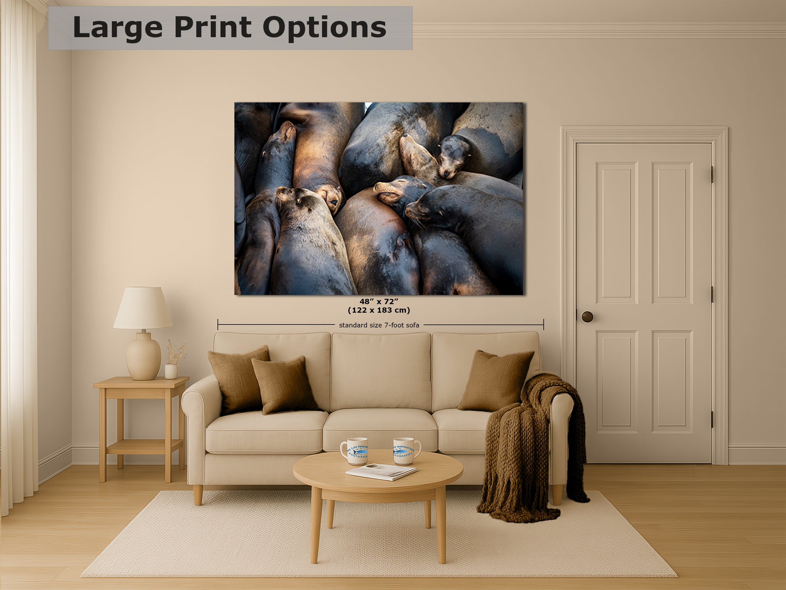 California Sea Lion Marine Mammal Wildlife Photography, Ocean Animals Nursery Decor, Relaxation Artwork for Beach-Themed Rooms