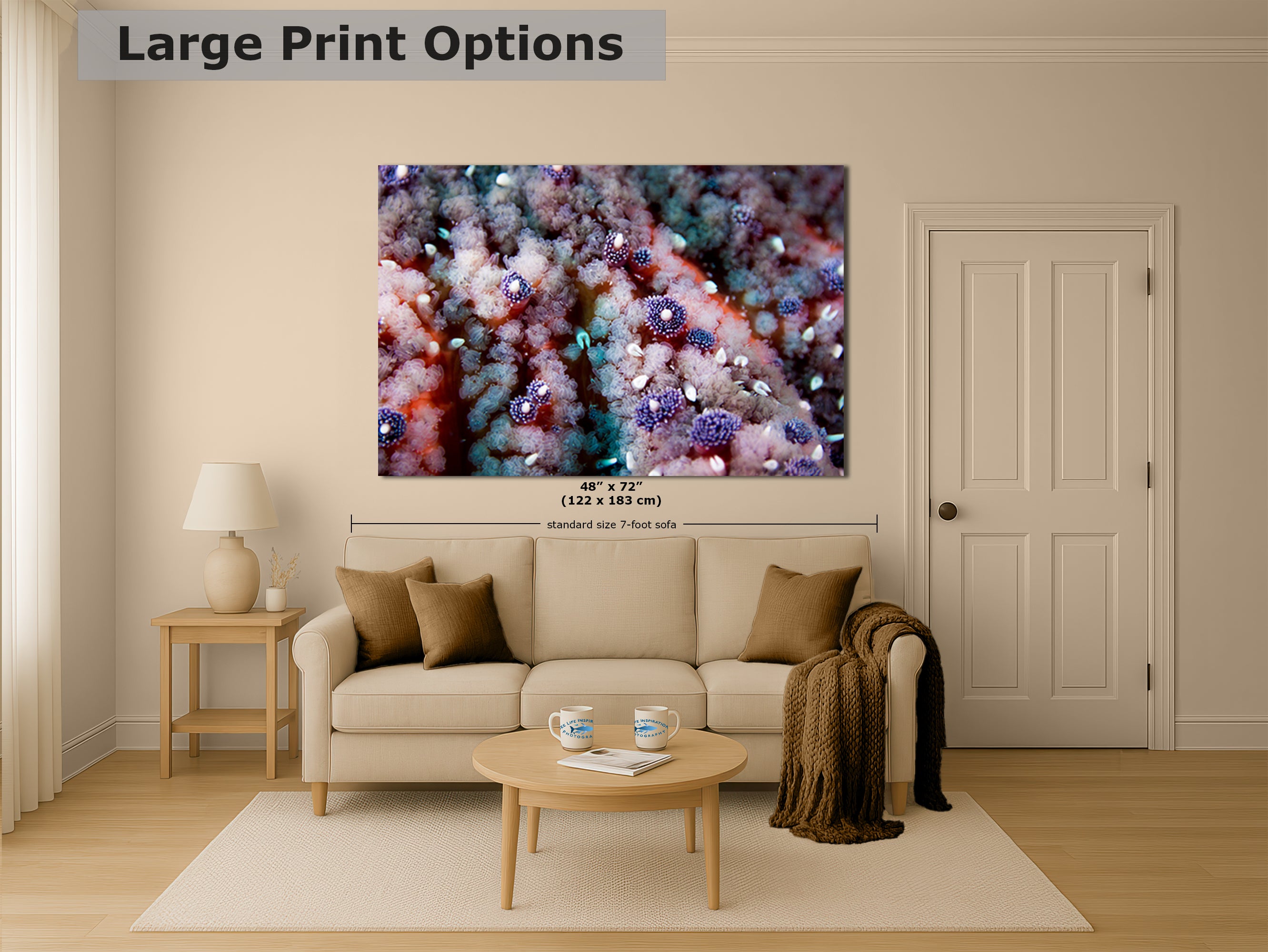 Ocean Life Starfish Photo, Marine Biology Underwater Scenery, Vibrant Coral Reef, Nature Photography for Office Decor, Relaxation Artwork