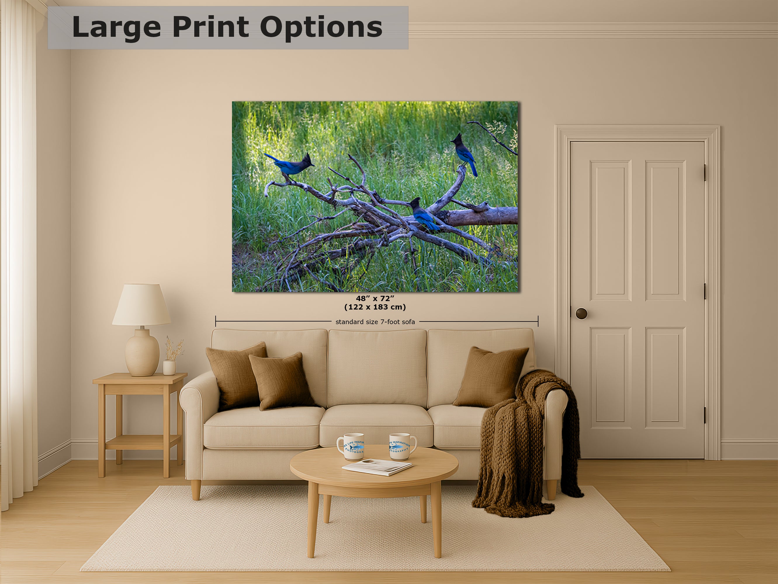 Steller Jay Wildlife Photography Print, Bird Wall Art, Nature Photography, Blue Bird Picture, Relaxing Dorm Room or Office Wall Art