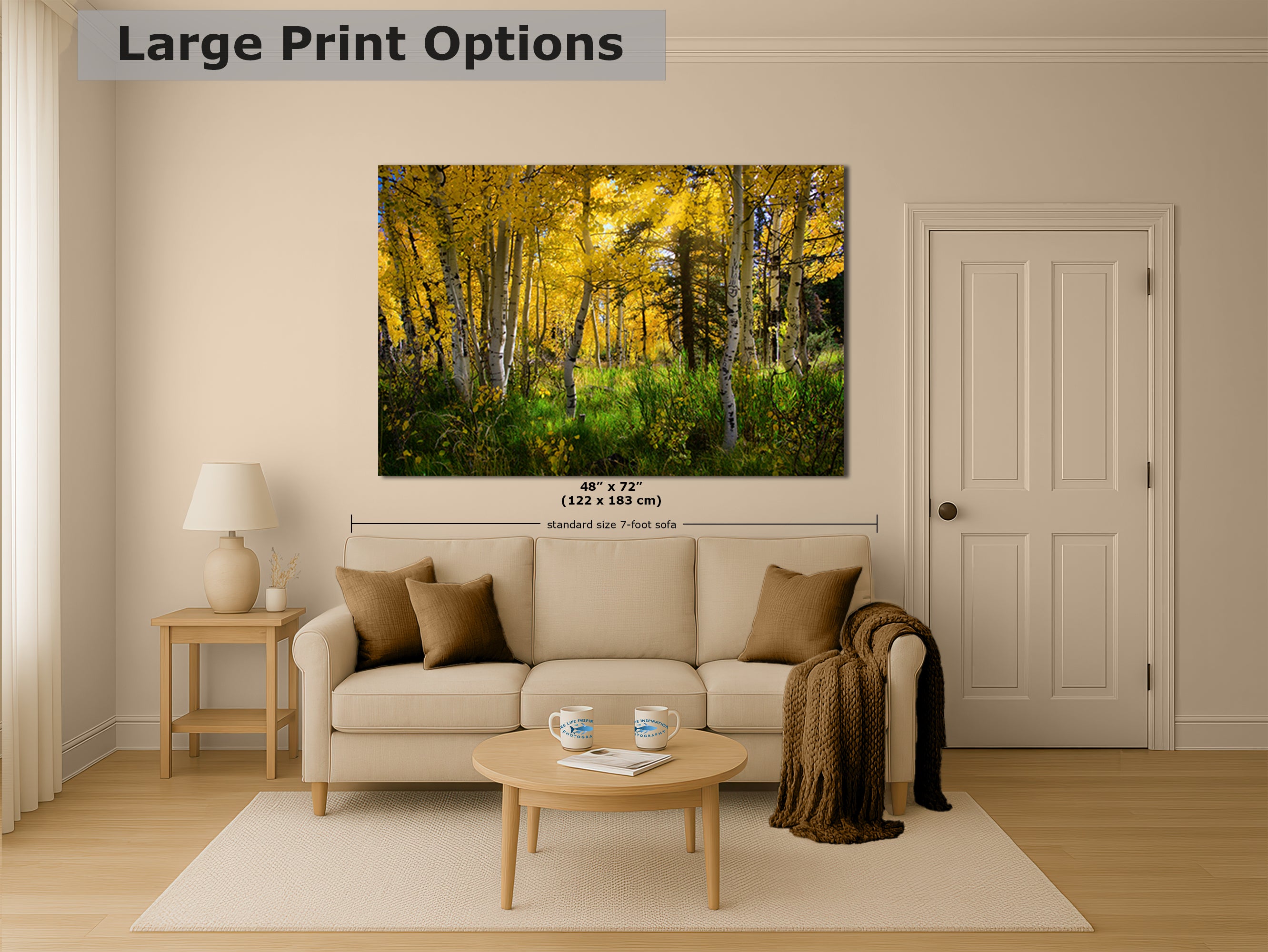 Aspen Tree Forest Picture Nature Photo, Forest Bathing Relaxation Artwork, Fall Colors Autumn for Meditation, Office and House Decor