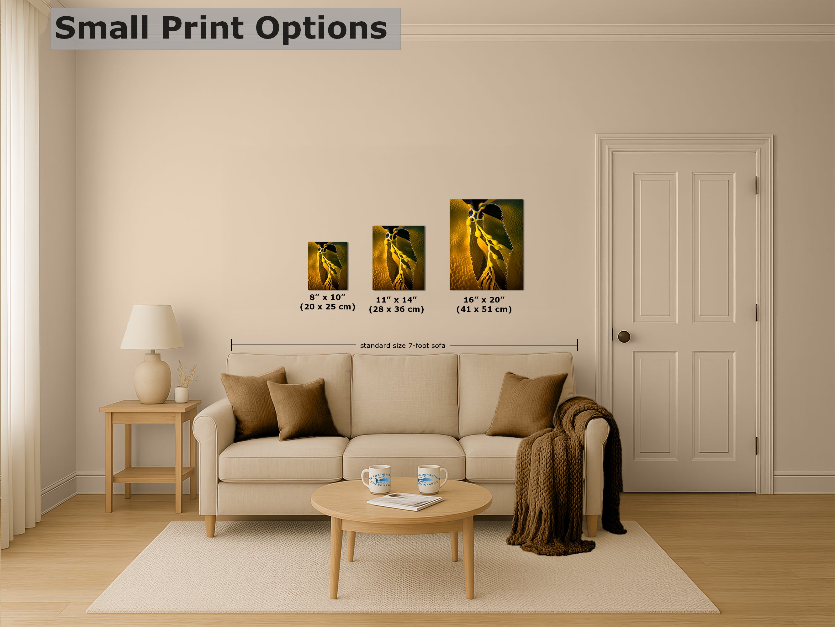 Kelp Forest Seaweed Pictures Underwater Scenery, Ocean Life Marine Life Decor, Nature Photo, Under the Sea Wall Art, Marine Biology Gift