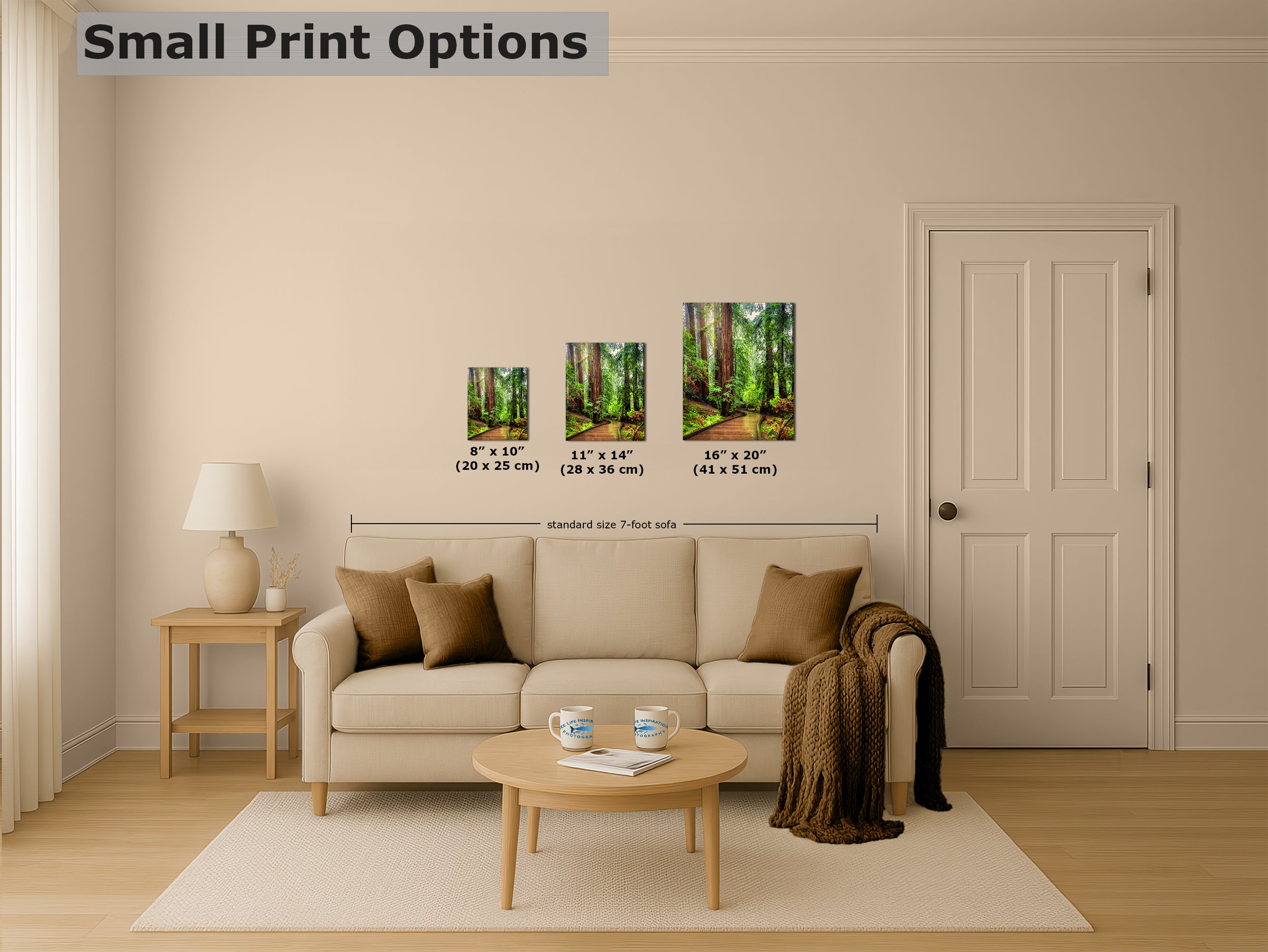 Redwood Trees Forest Picture Sunrise Nature Photo, Forest Bathing House Decor, Relaxing Wall Art for Meditation, Home and Office