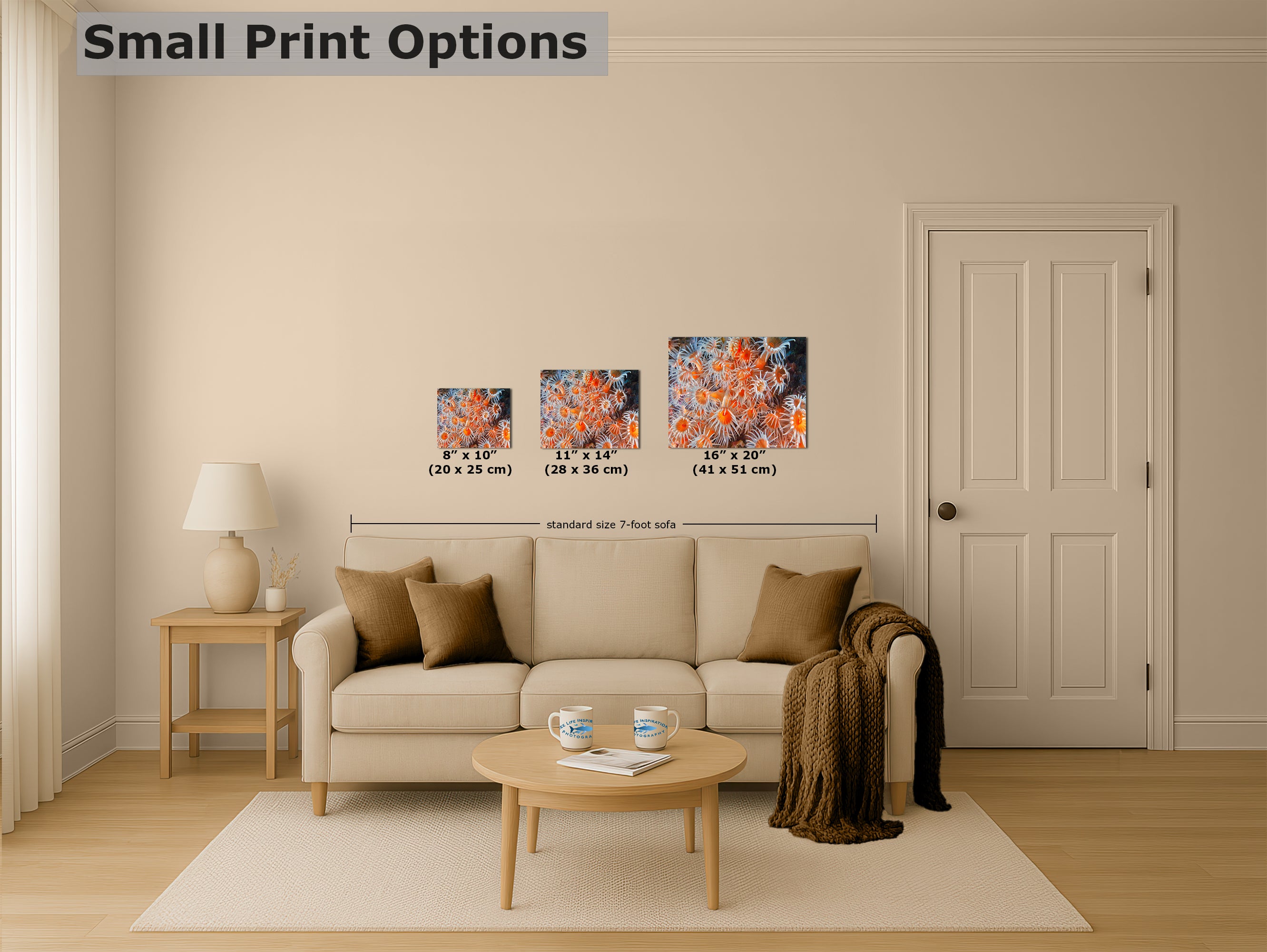 Sea Anemone Picture Ocean Life Underwater Scenery Nature Photo, Vibrant Coral Reef Wall Art, Marine Biology Gift for Ocean Lover