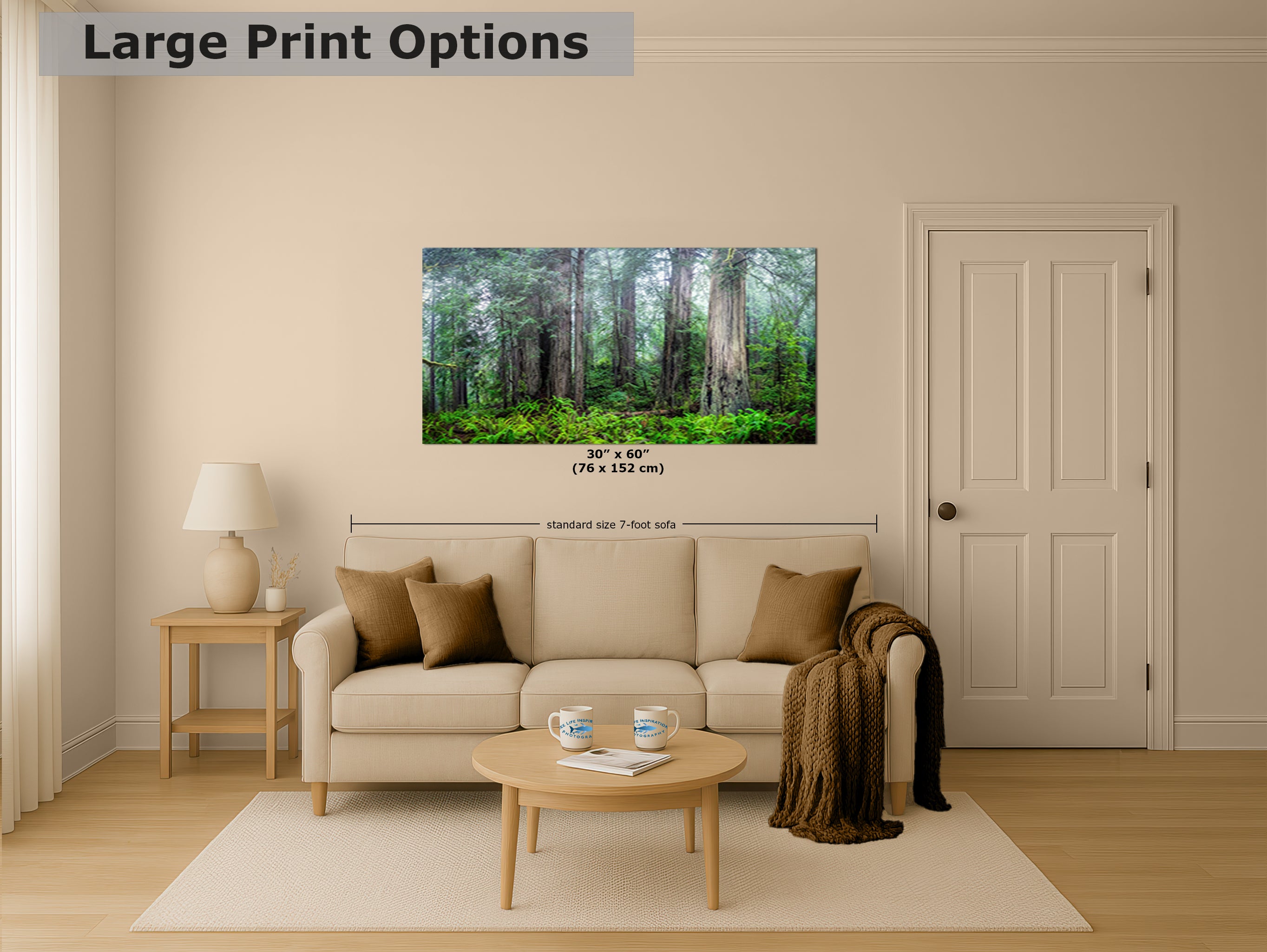 Redwood Trees Forest Picture Nature Photo, Forest Bathing in Misty California Redwoods Wall Art, for Relaxation in the Home and Office