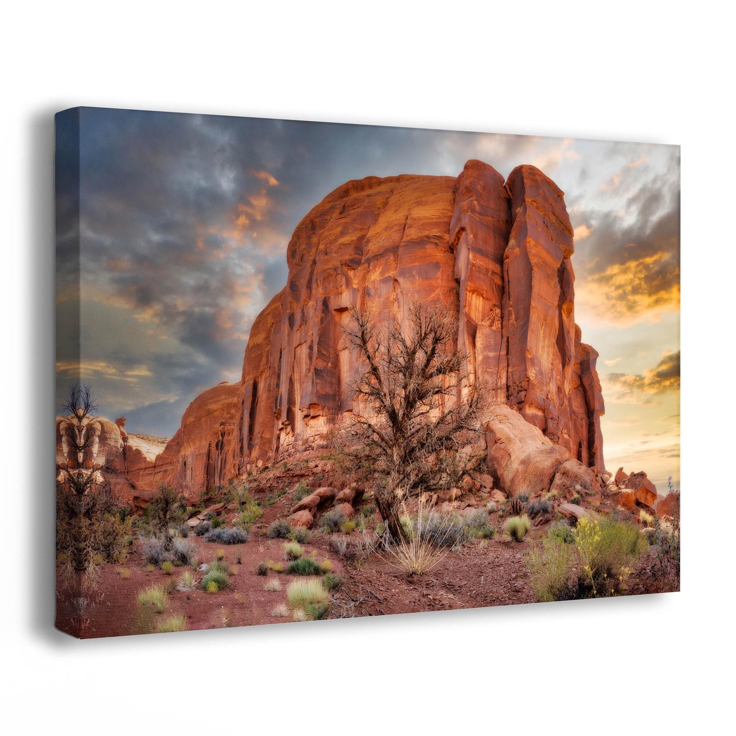 Monument Valley Arizona Desert Picture Cactus Nature Photo, Bohemian Style Relaxation Artwork for Meditation, Apartment, Office & House Décor