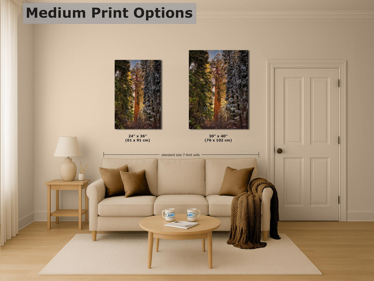 Giant Sequoia Tree Forest Picture Nature Photo, Redwood Tree Wall Art, Forest Bathing Decor, Bohemian Style Relaxation Artwork