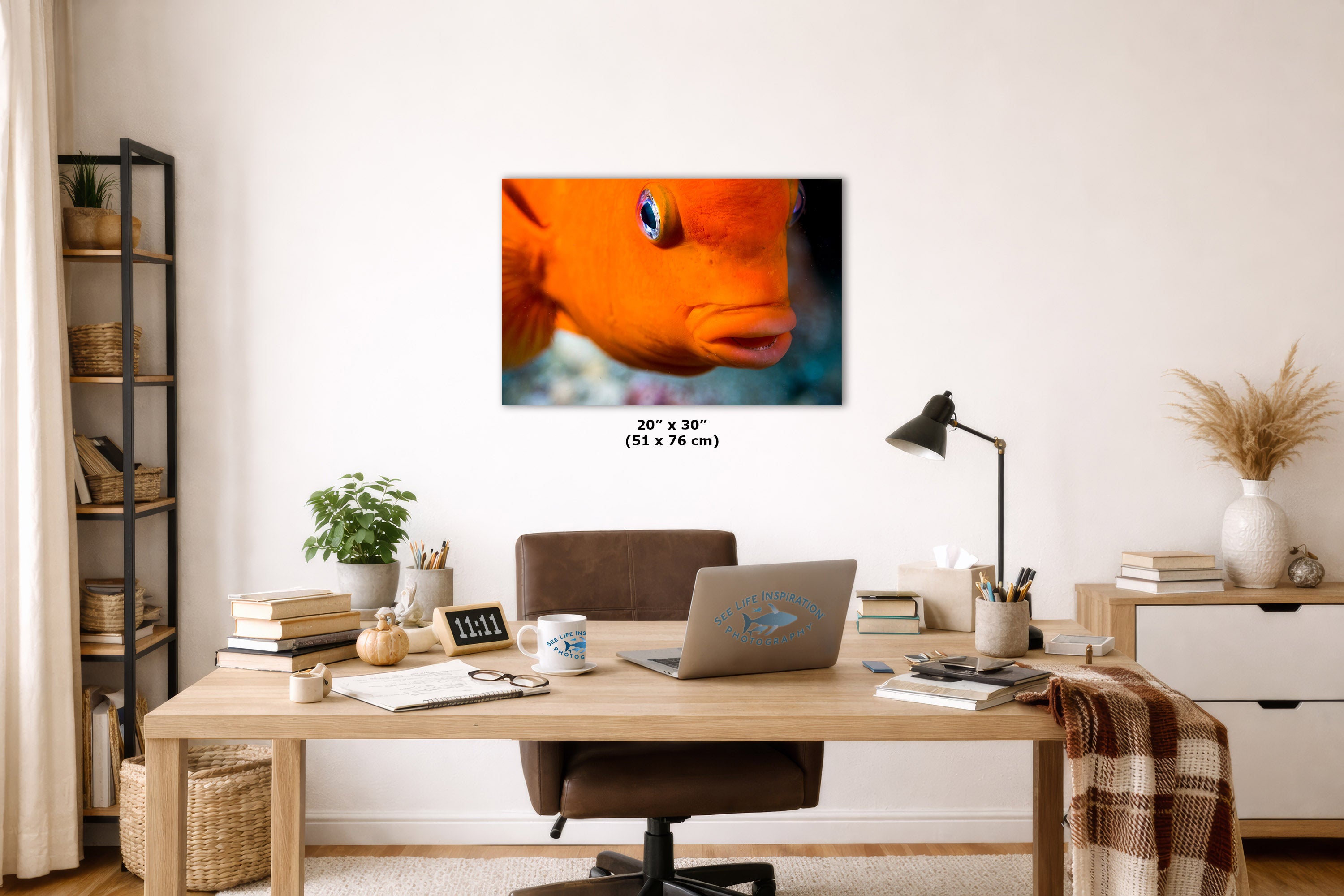 A framed wall art print showing a close-up of an orange fish with blue eyes, displayed above a wooden desk in a styled home office. The print includes size text reading 20 x 30 (51 x 76 in).