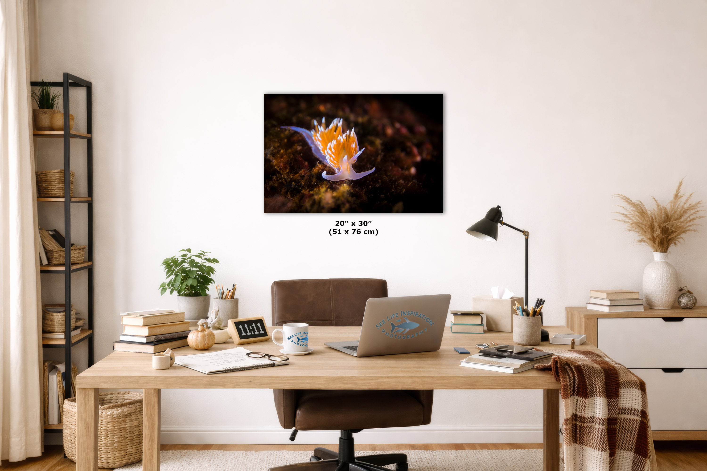 A wall art print of a colorful nudibranch sea slug is displayed in a modern home office setting above a wooden desk with a laptop, lamp, and books. The print features a black background with a vibrant orange, purple, and white sea snail.