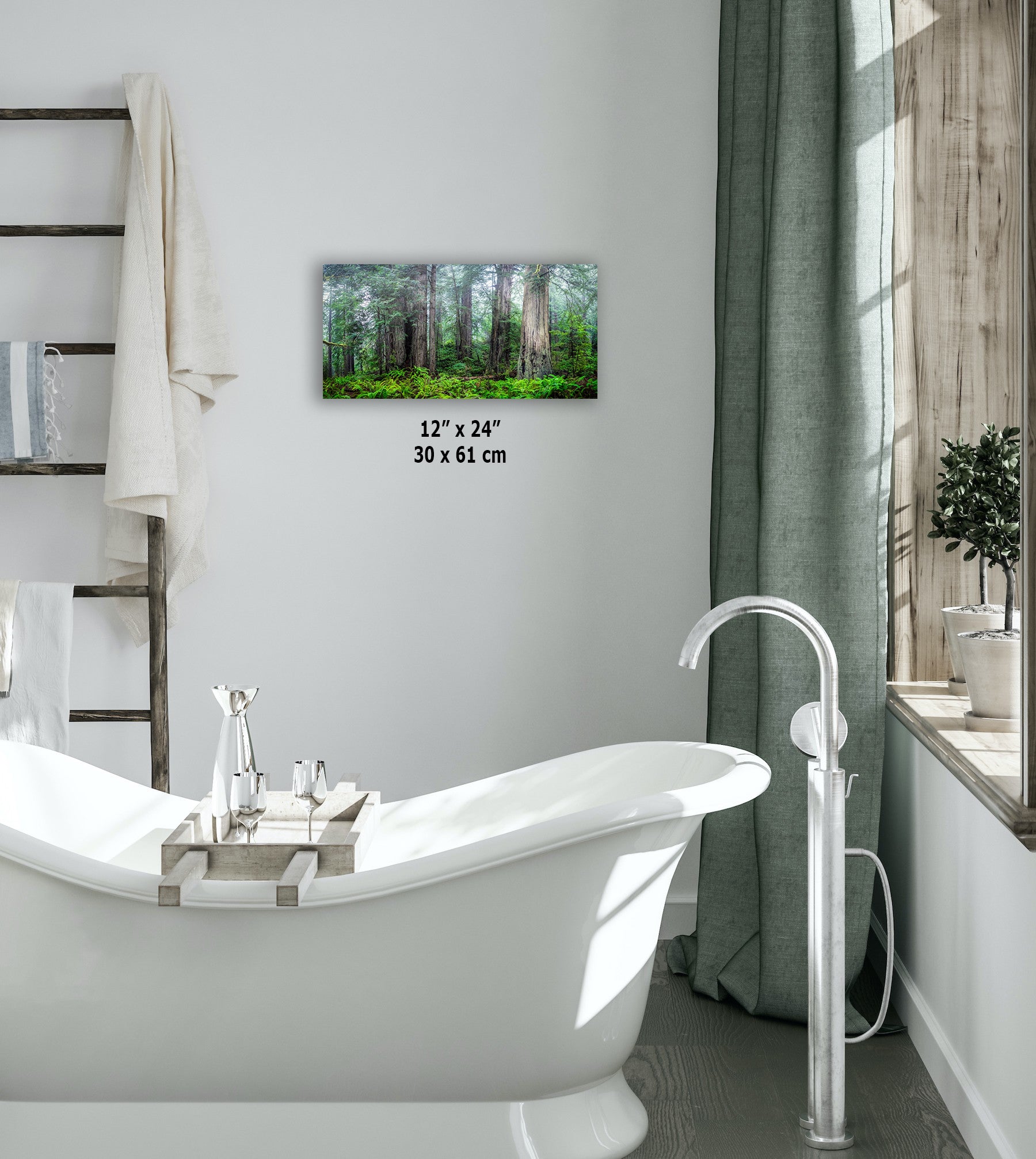 Redwood Trees Forest Picture Nature Photo, Forest Bathing in Misty California Redwoods Wall Art, for Relaxation in the Home and Office