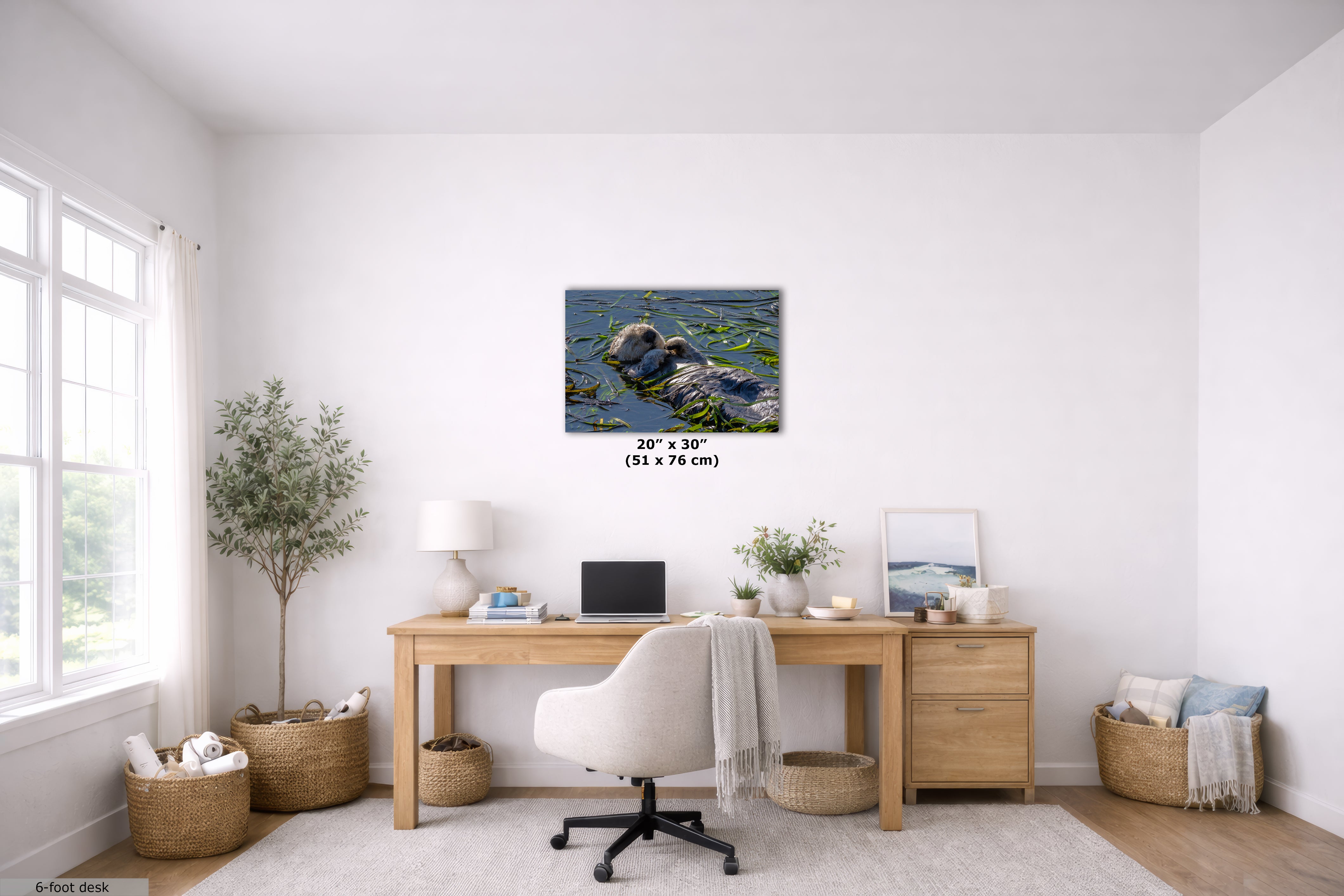 Marine Mammal Wildlife Photography Limited Edition Fine Art Print of California Sea Otter