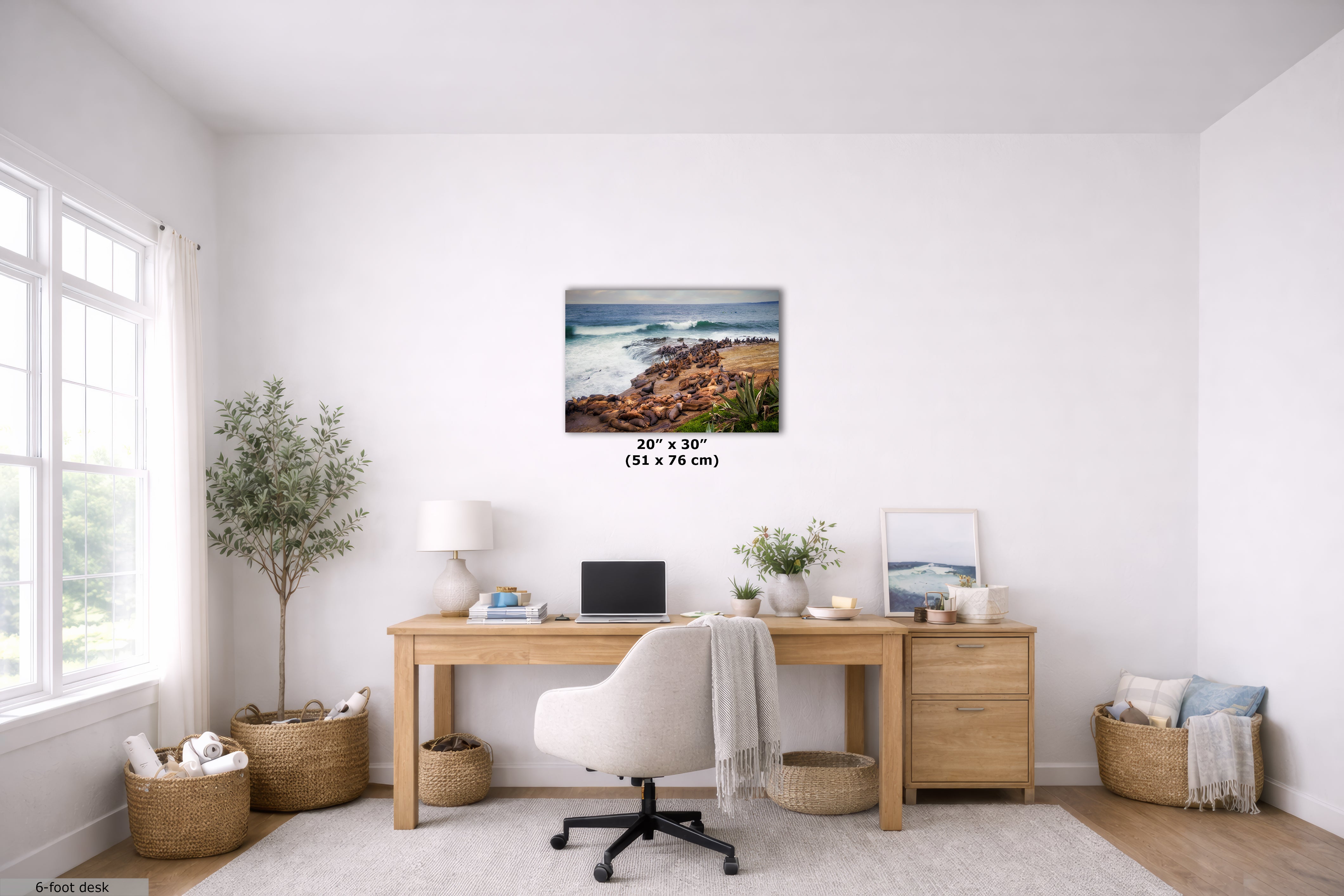 California Sea Lion Marine Mammal Wildlife Photography | Calming Nature Ocean Picture, Relaxation Artwork, La Jolla Coast, Nature Photo