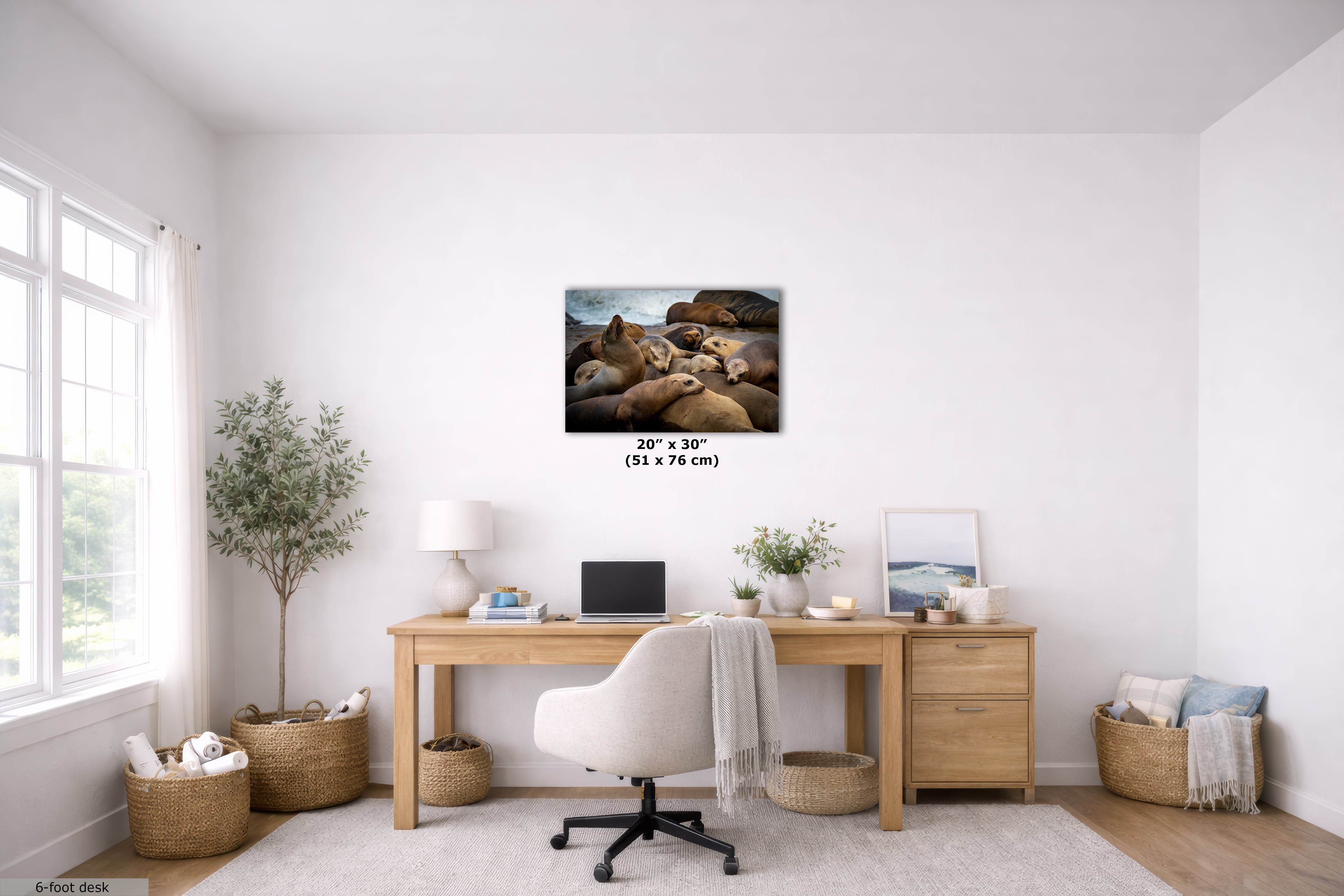 California Sea Lion Marine Mammal Wildlife Photography, Ocean Animals Wall Art, Nature Lover Gift, Marine Biology Artwork