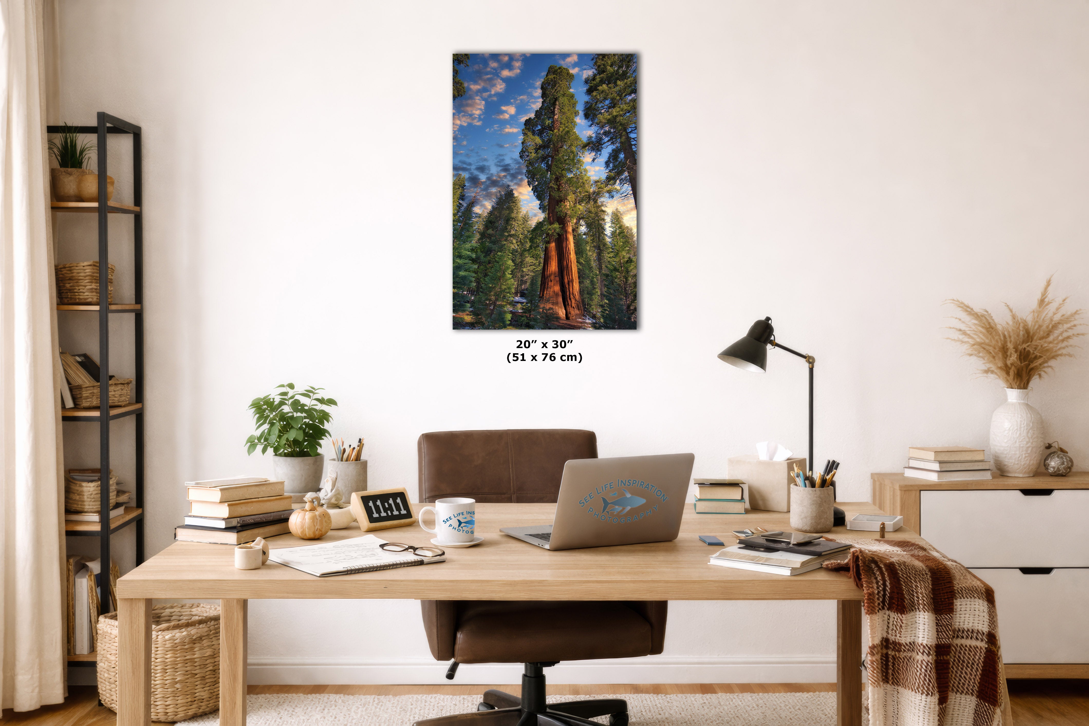 A vertical canvas wall art print depicting giant sequoia trees in a forest under a blue sky, displayed on a white wall above a wooden desk in a styled home office setting.