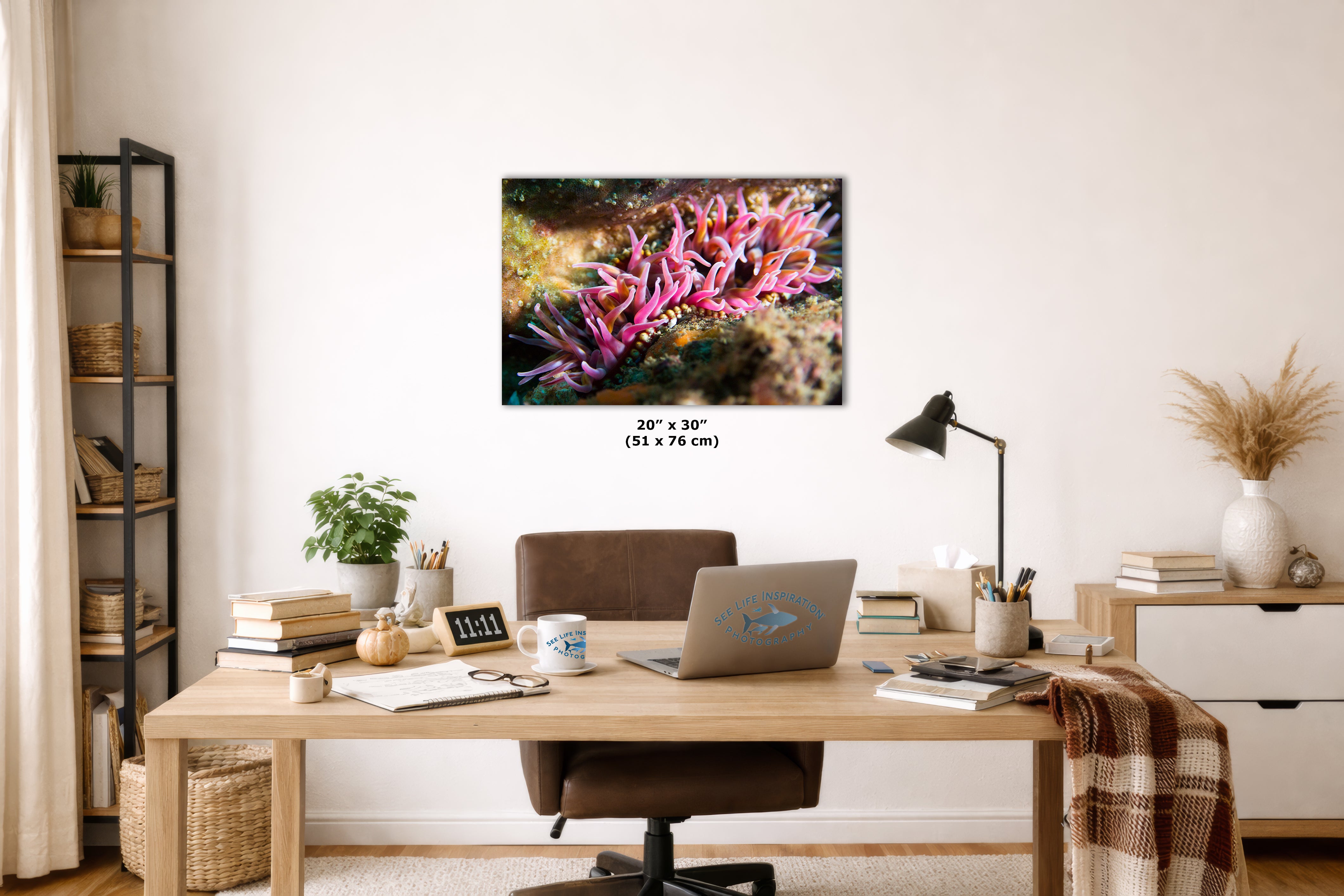 Sea Anemone Picture Ocean Life Underwater Scenery Nature Photo, Marine Biology Coral Reef Art, Vibrant Marine Wildlife Wall Decor
