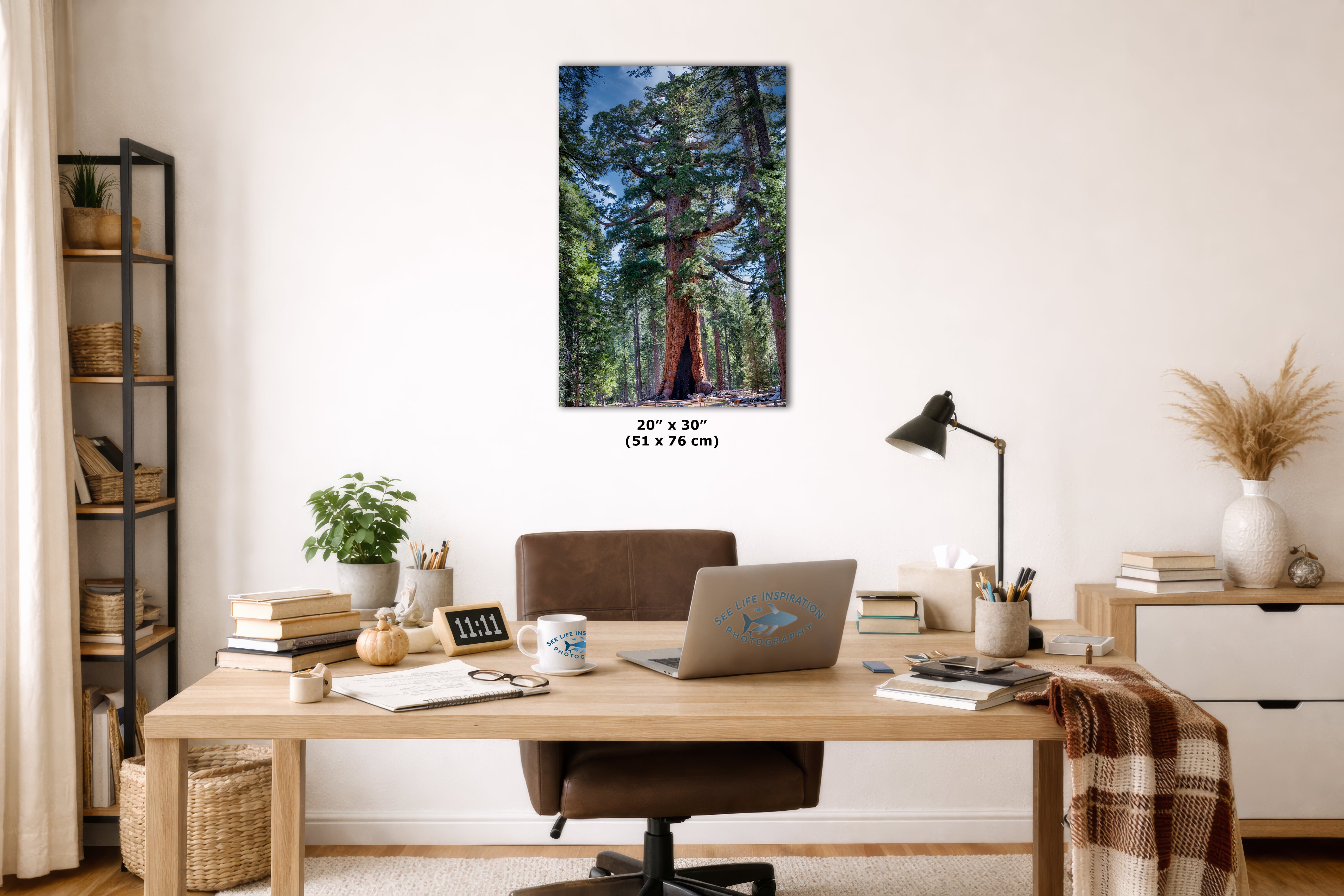 Giant Sequoia Tree Forest Picture Nature Photo, Yosemite Redwood Trees, Mariposa Grove Tree Hugger Decor, Forest Bathing for Relaxation