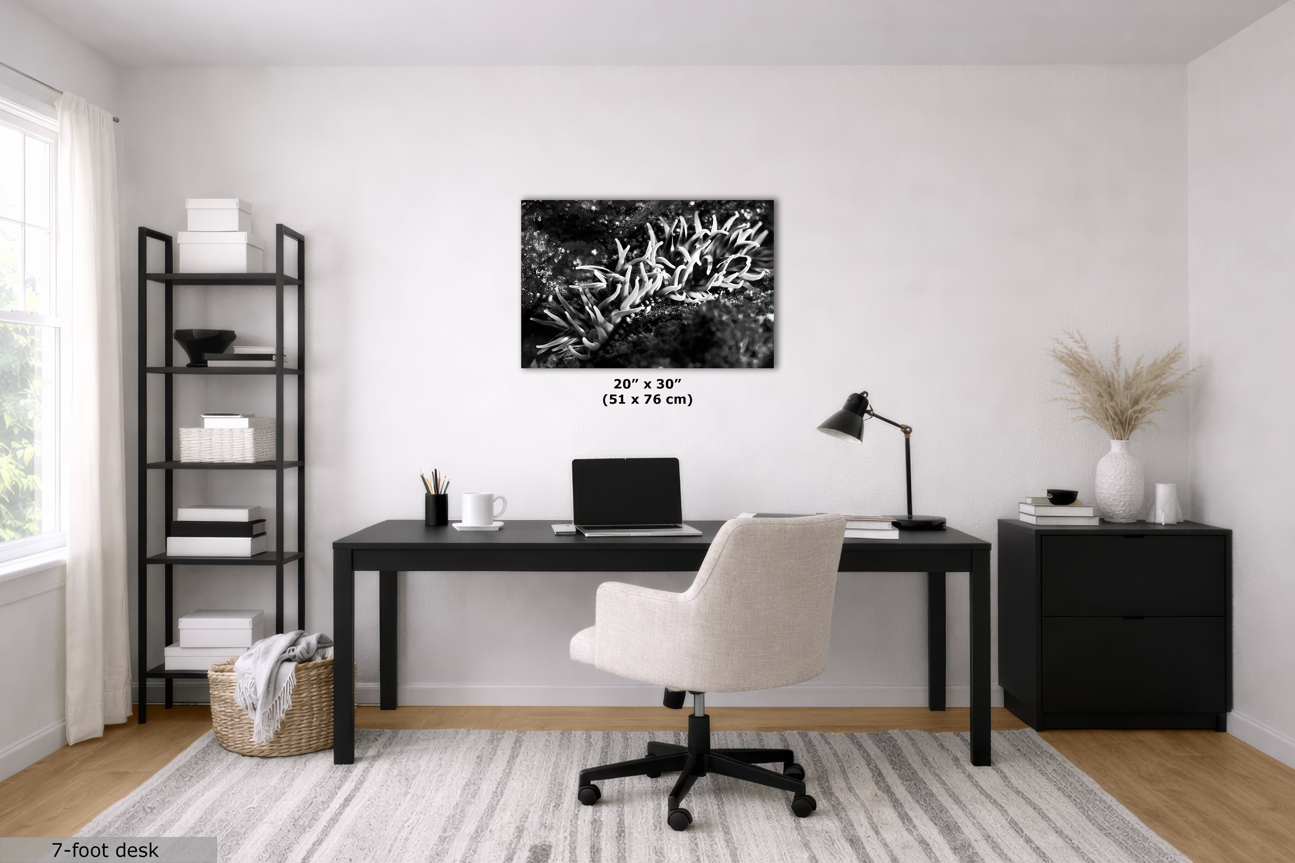 Sea Anemone Picture Ocean Life Underwater Scenery Nature Photo, Marine Biology Decor, Black and White Coral Reef Art for Marine Enthusiasts