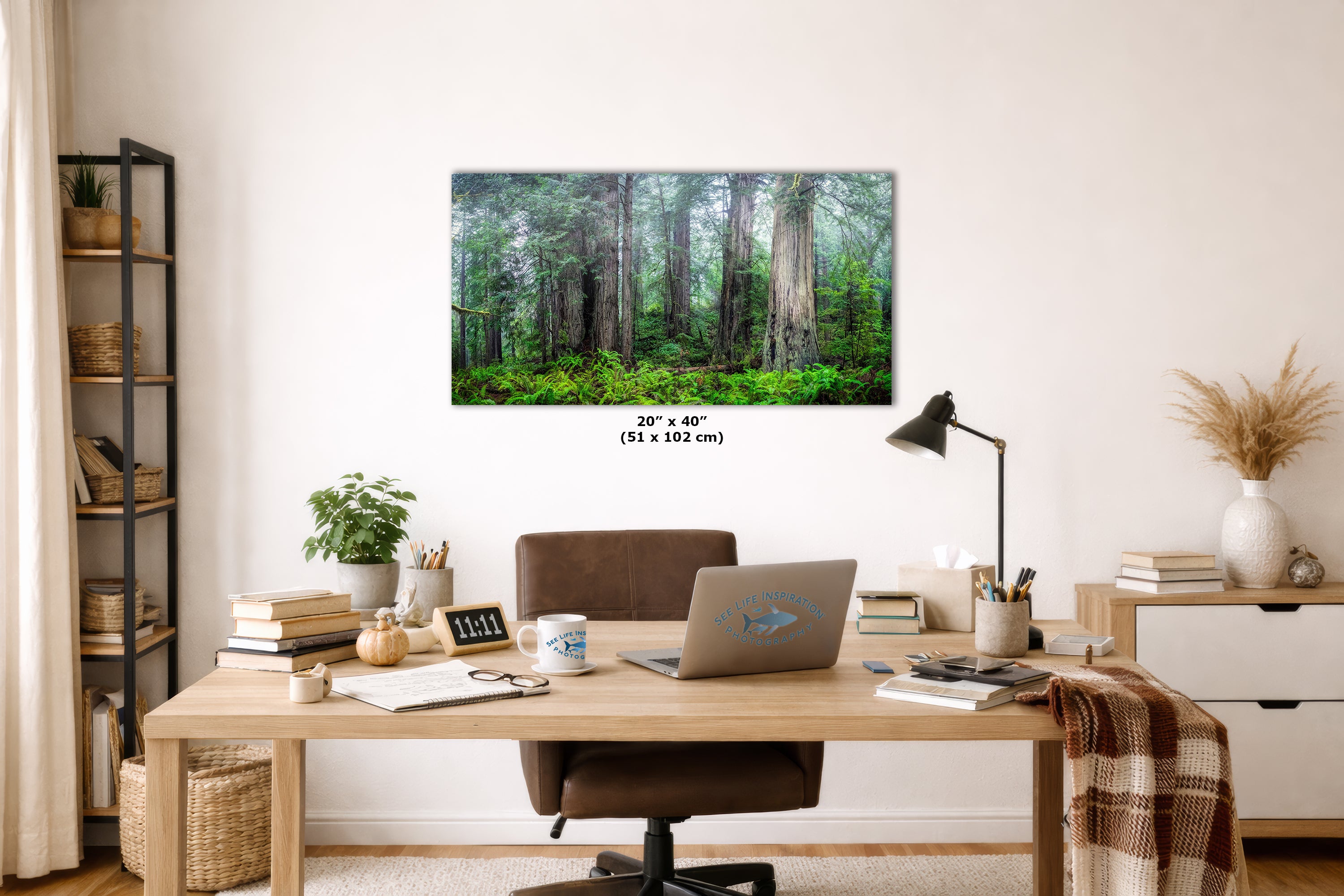 Redwood Trees Forest Picture Nature Photo, Forest Bathing in Misty California Redwoods Wall Art, for Relaxation in the Home and Office