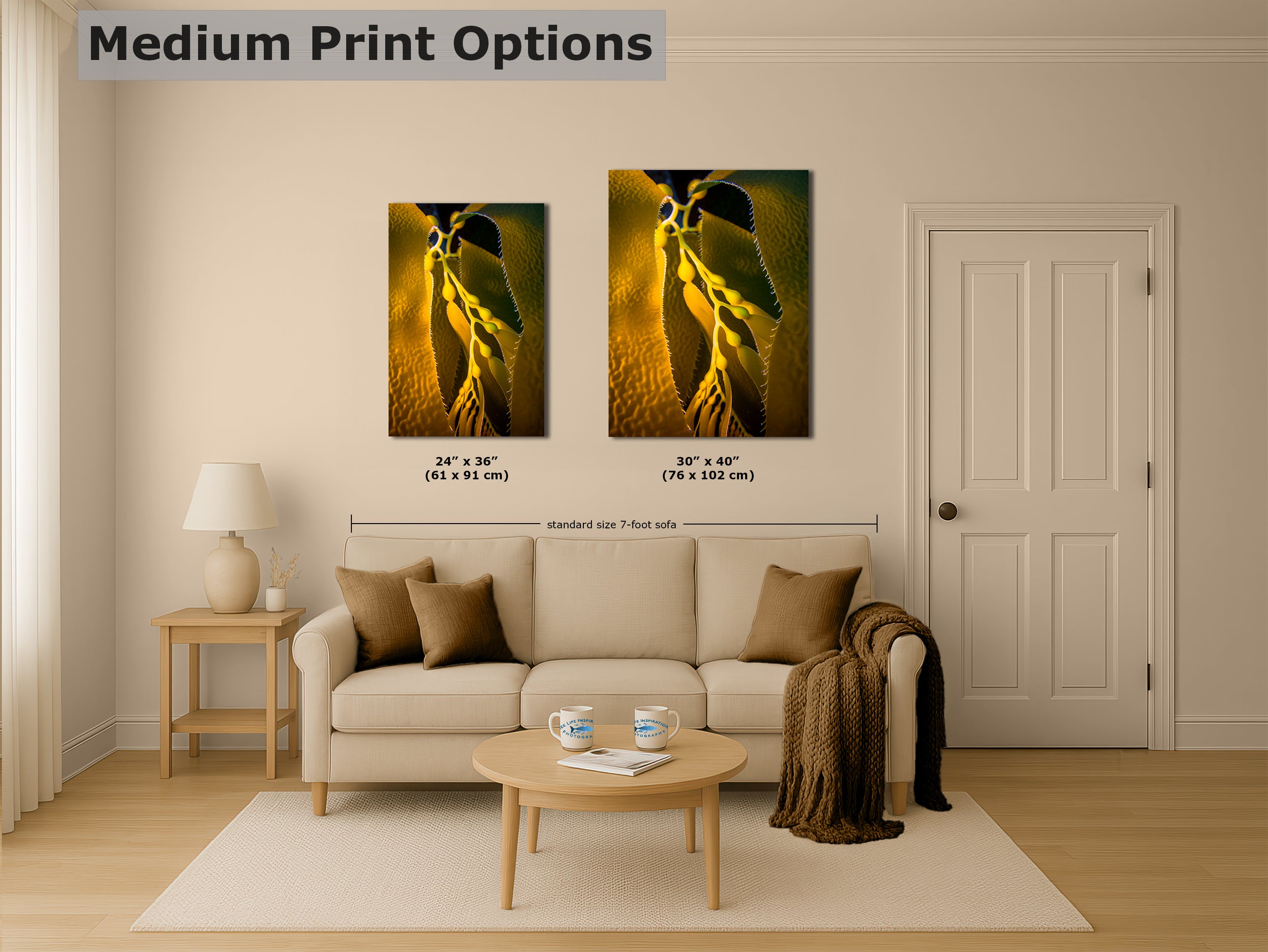 Kelp Forest Seaweed Pictures Underwater Scenery, Ocean Life Marine Life Decor, Nature Photo, Under the Sea Wall Art, Marine Biology Gift