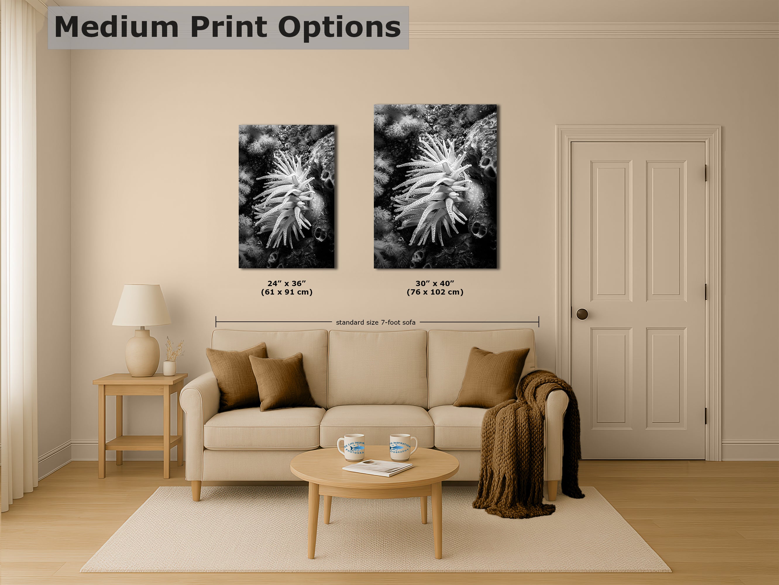 Sea Anemone Picture Ocean Life Underwater Scenery Nature Photo Black and White Art for Marine Biology, Ocean Lovers, and Relaxation Decor