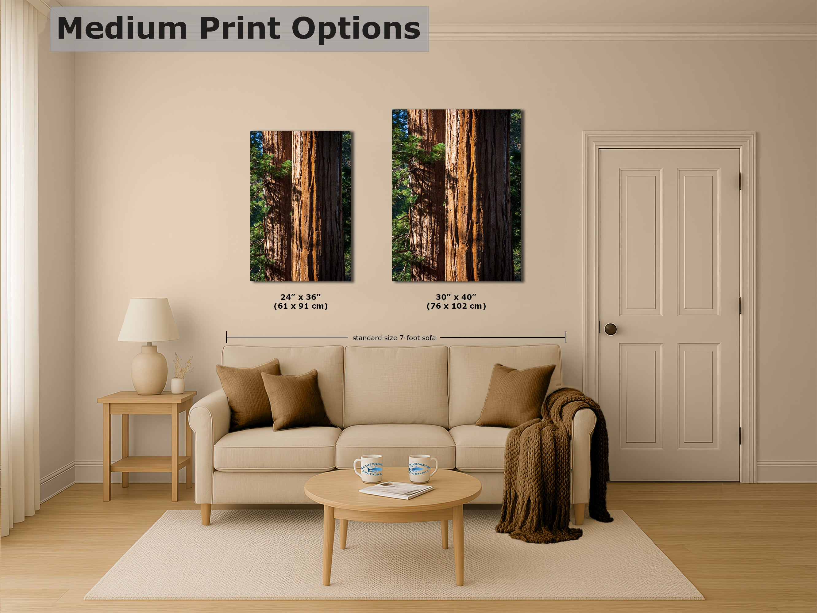 Giant Sequoia Tree Forest Picture Nature Photo, Redwood Trees Wall Art, Forest Bathing National Park Poster, Relaxation Decor