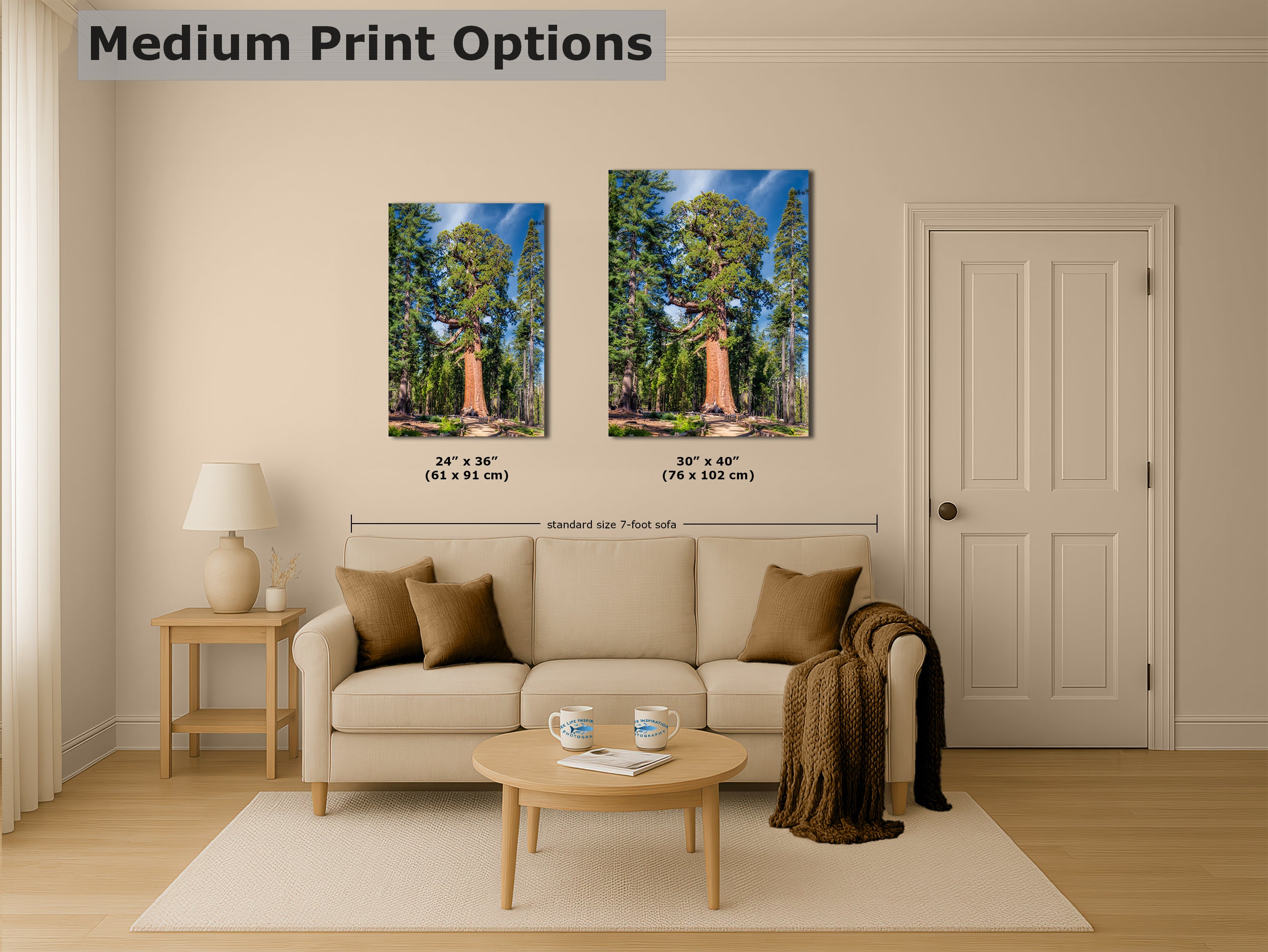 Giant Sequoia Tree Forest Picture Nature Photo, Yosemite Redwood Trees, Forest Bathing for Nature Lovers, House and Office